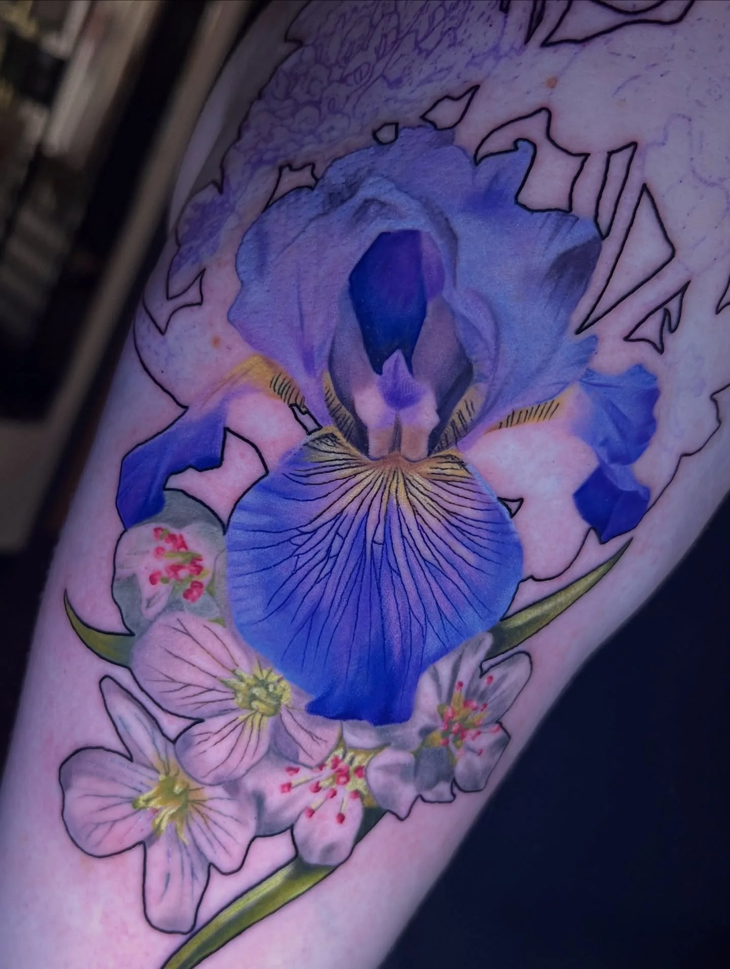 Great start to Elizabeth’s realism piece based off the state flowers of where she’s lived!💕
-
#iristattoo #mayflowertattoo #ladyslippertattoo #ladyslipper #iris #floraltattoo #mntattoo #mntattooartist
