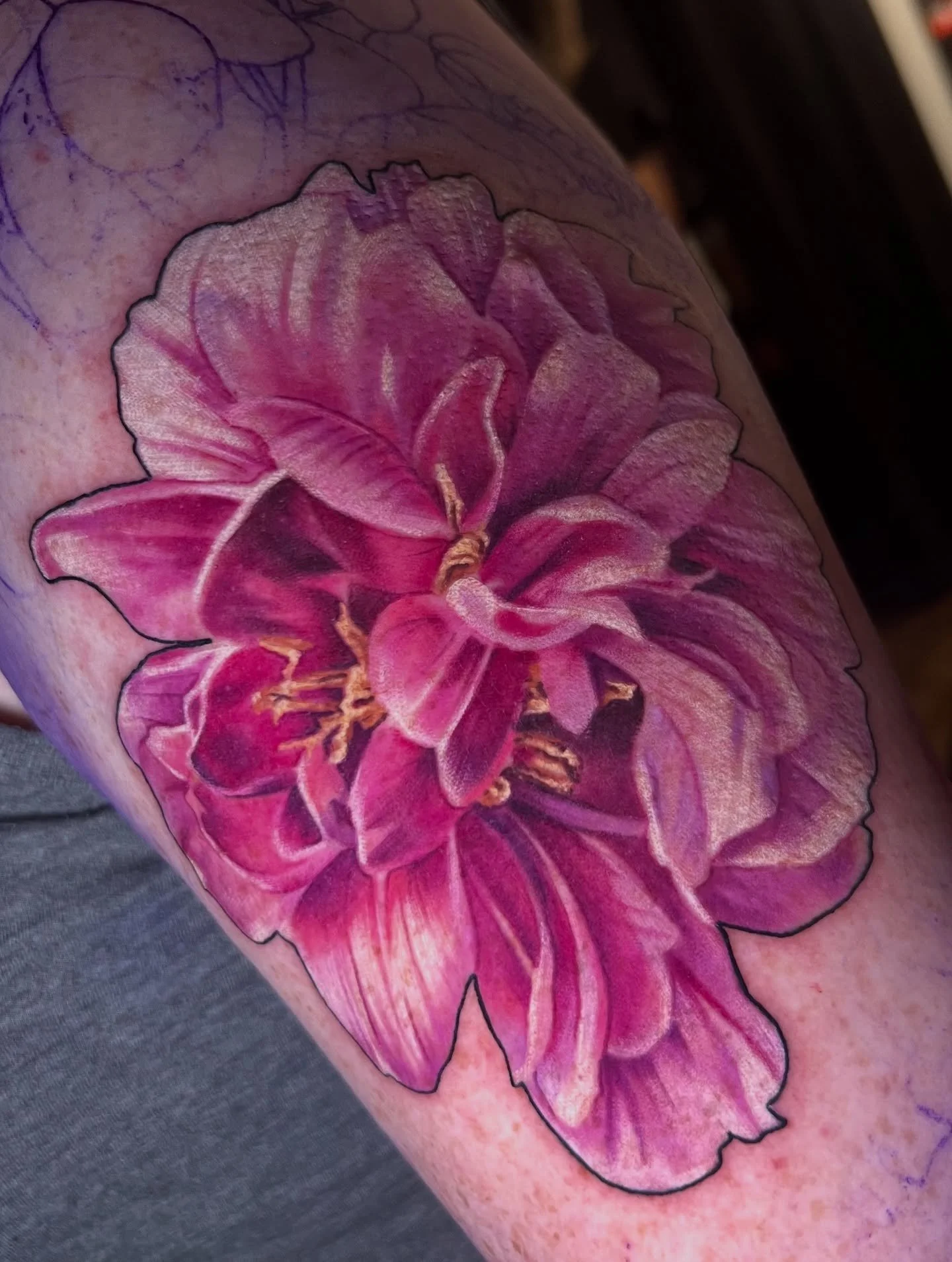 Peony to start off this floral piece for Flannery today!🫶🏻
Can&rsquo;t wait to keep adding to this one! 
-
#peonytattoo #flowertattoo #realismflowertattoo #realismfloraltattoo #floraltattoo #feminetattoo #mntattooers #mntattooartist