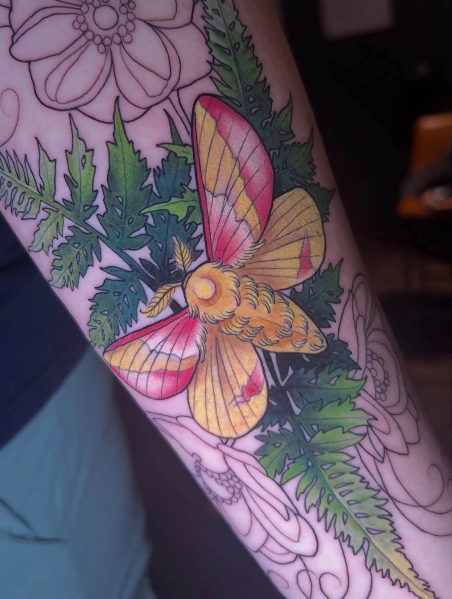 Moth &amp; Ferns started for Emily!🦋
Super excited to finish this one up!
-
#mothtattoo #ferntattoo #rosymaplemoth