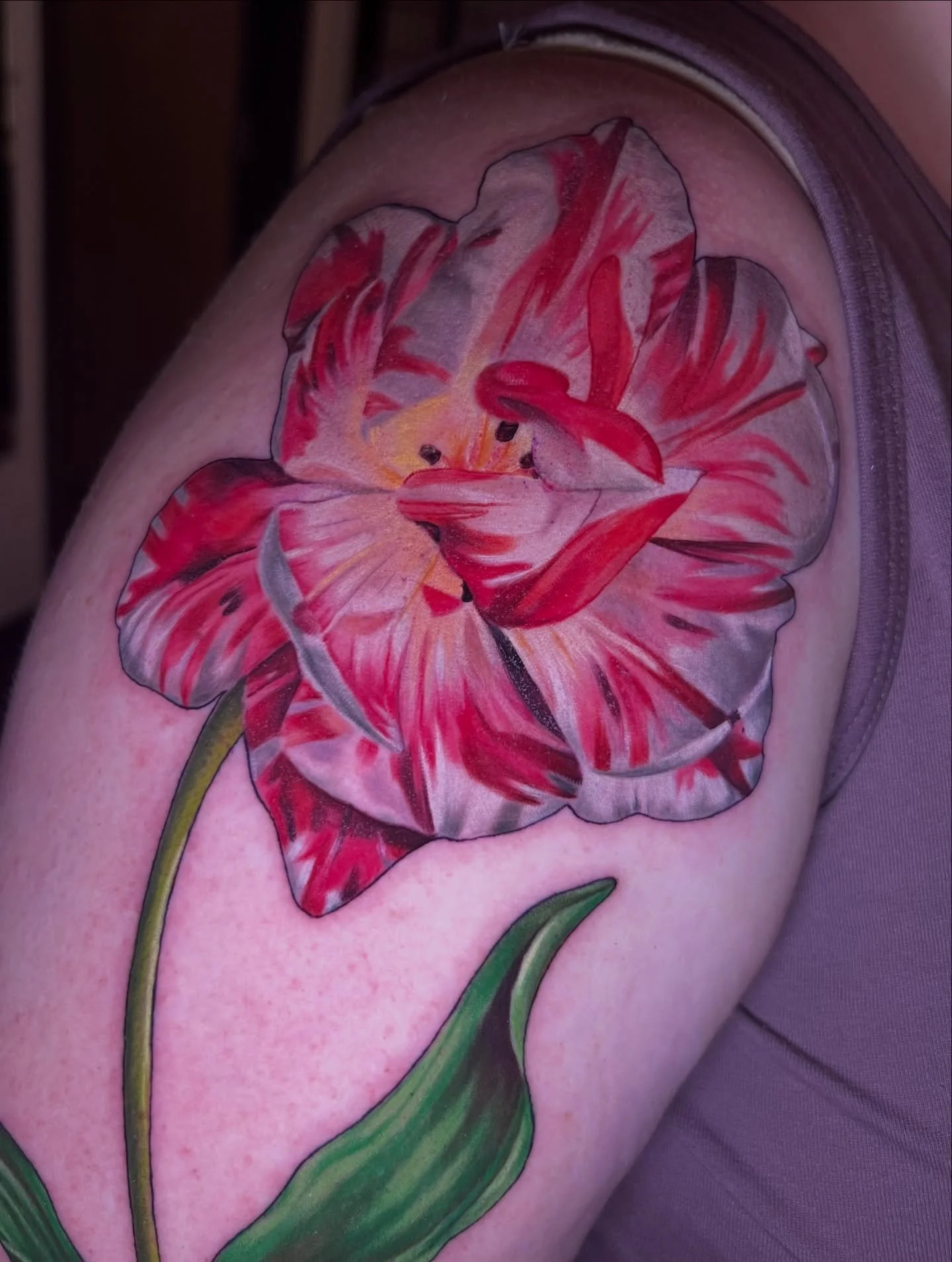 Big ol Tulip from yesterday!🌷
I absolutely love this take on an open tulip inspired by old century botanical illustrations. It&rsquo;s always so fun to hear all the different reasons and ways you guys have for floral work!
I&rsquo;m excited to hopef