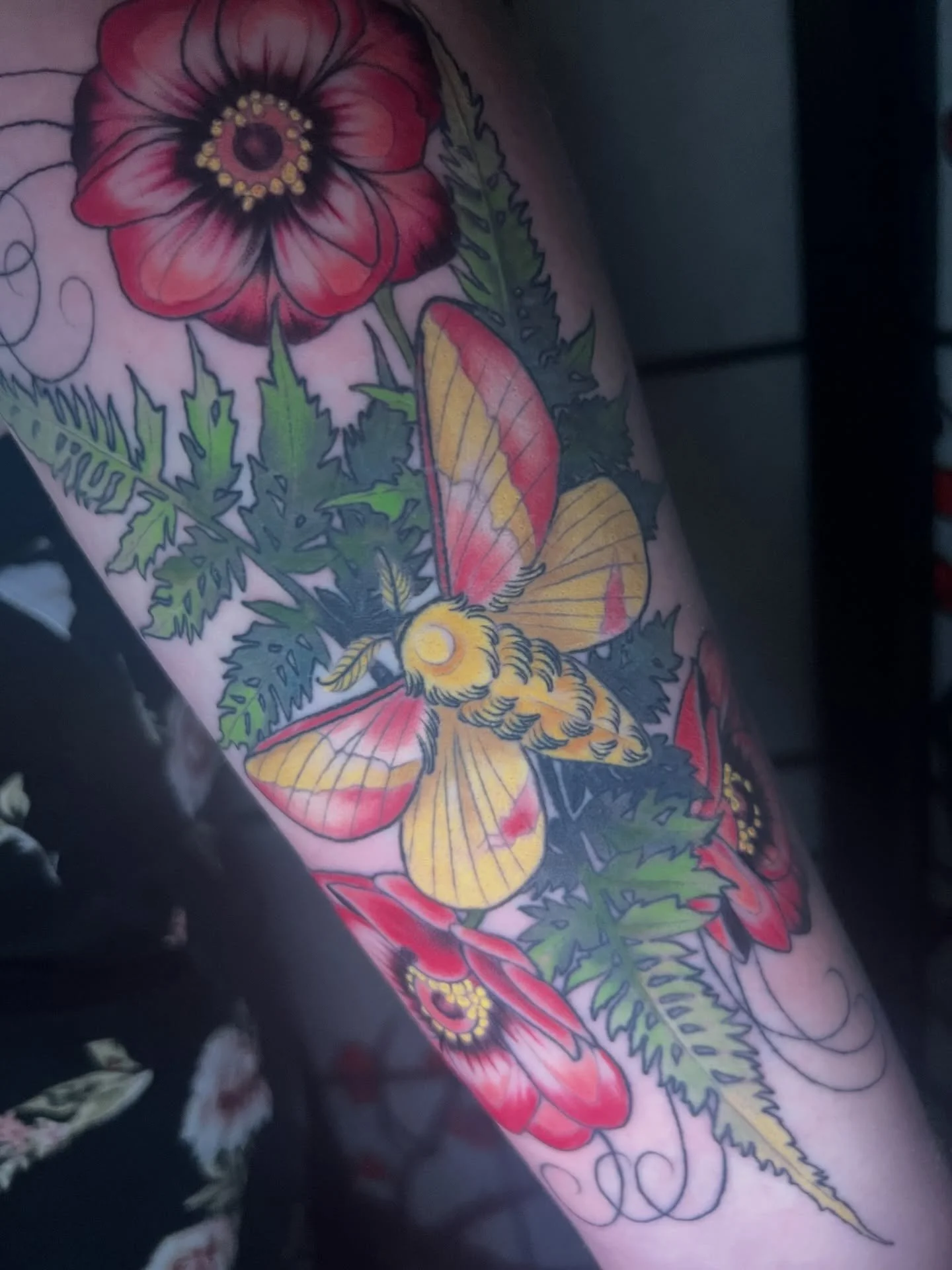 Finished up this piece last week🫶🏻
The moth and &amp; ferns are healed with some small touch ups! Thanks Emily!
-
#mothtattoo #ferntattoo