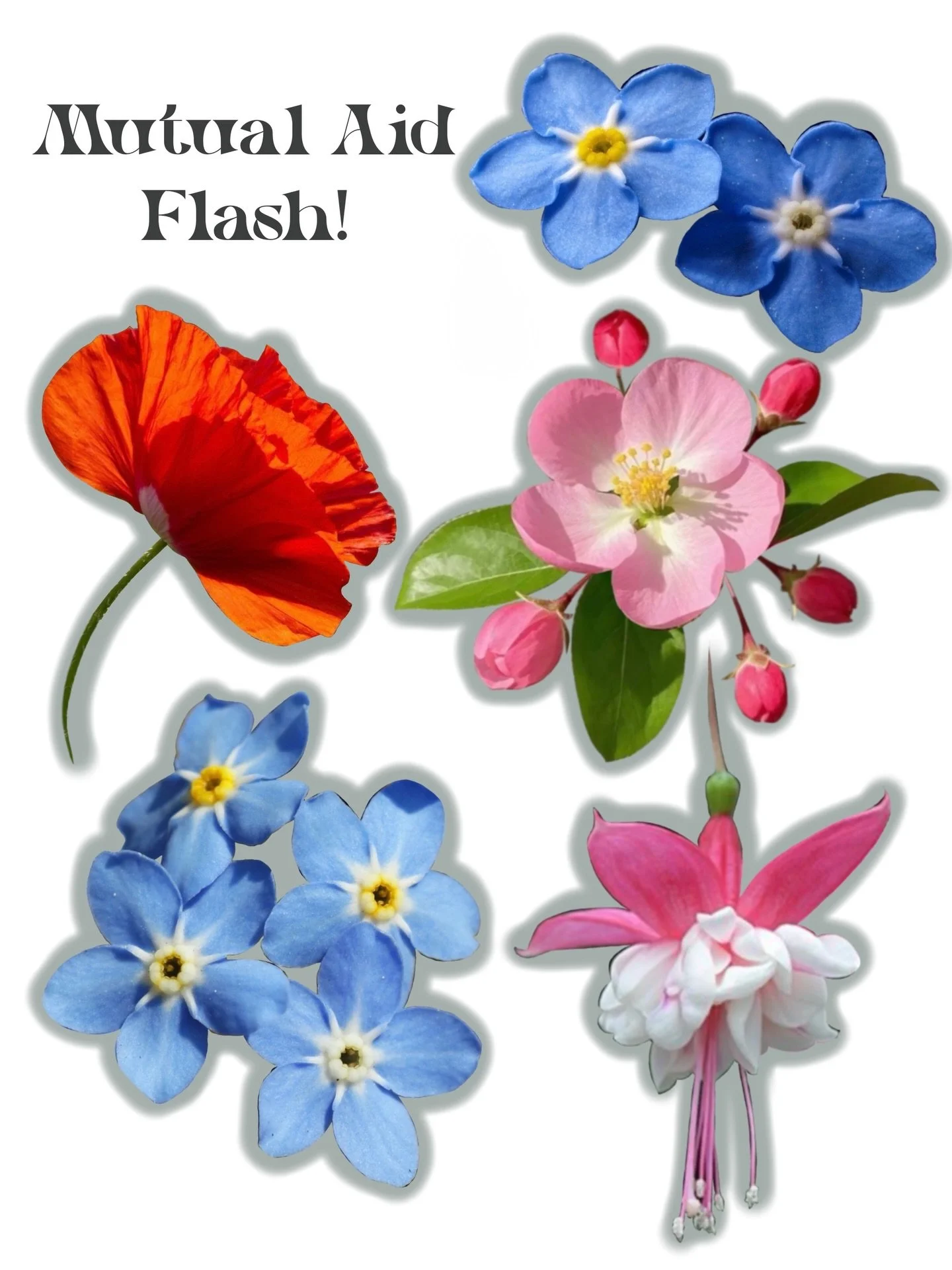 Mutual Aid Flash!
All proceeds will go to the Community Aid Network of MN🖤 I will be doing these while I&rsquo;m guest spotting at @strongholdtattoostudio ! 
DM to claim one! These are repeatable and appointment only! I have time Thursday the 26th &