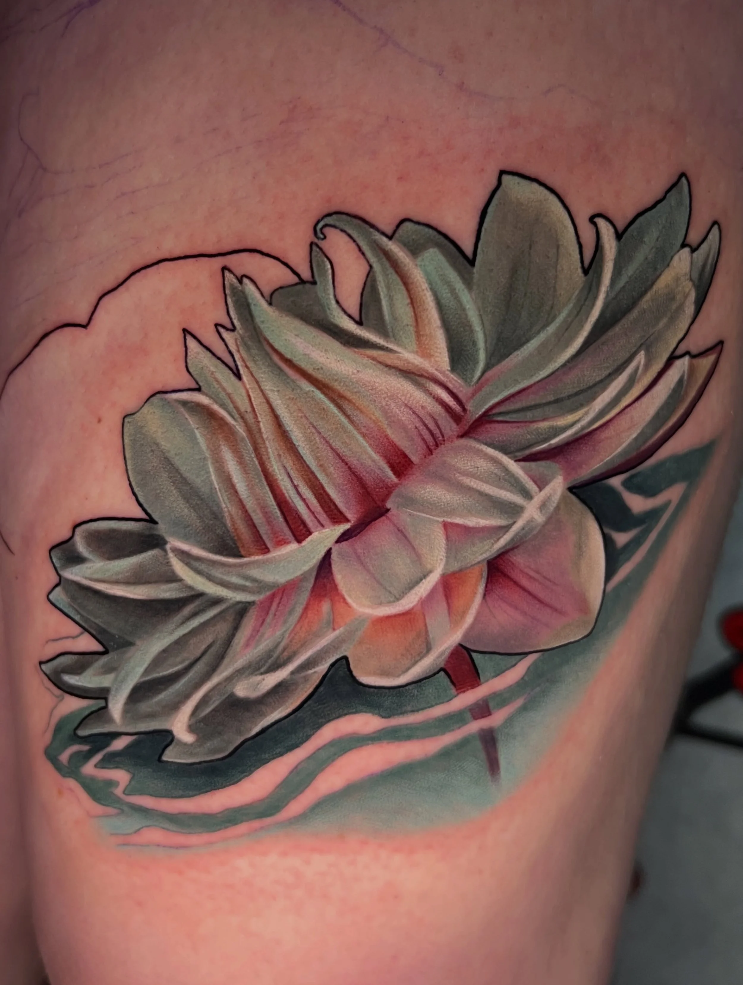 Victorian Water Platter project started for Alecia!🪷
I&rsquo;m excited to keep working on this piece! 
-
#lotustattoo #flowertattoo #mntattooartist
