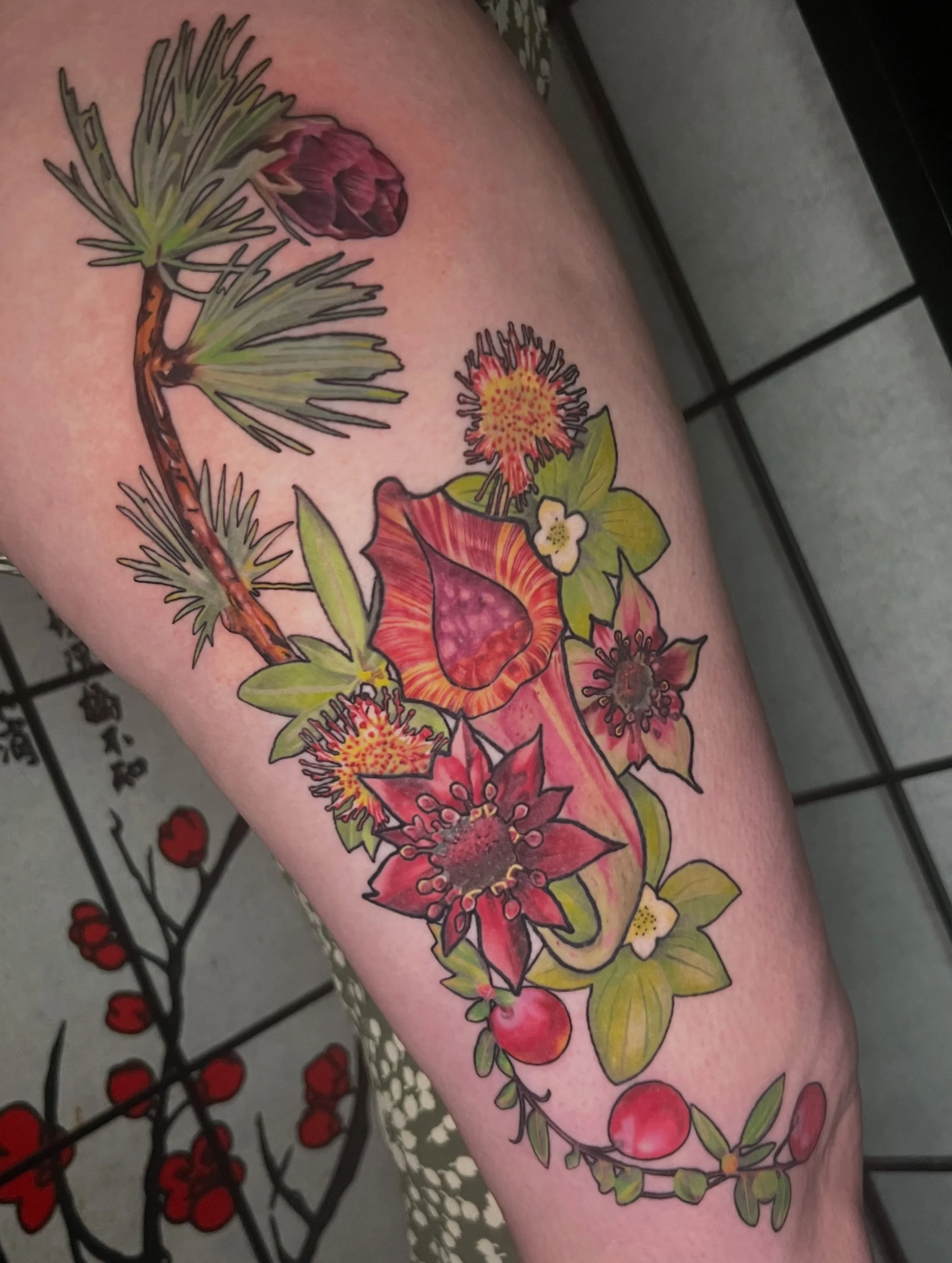 Finished up this MN native bog plant project a few weeks ago! Everything is healed except the top pinecone🎉
-
#planttattoo #carnivourousplanttattoo