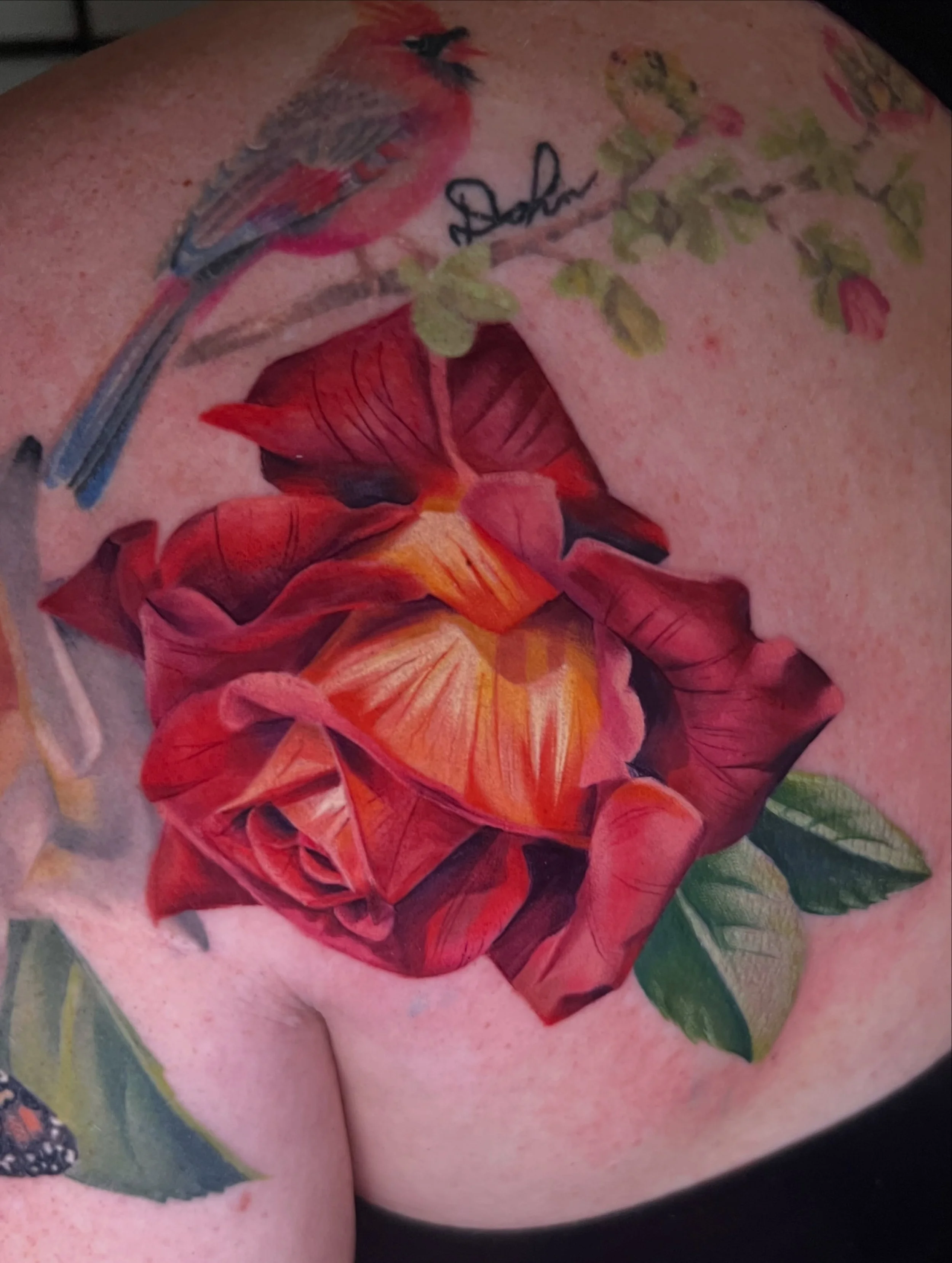 Sunset rose added to Nicole&rsquo;s arm yesterday!
The white rose and monarch are healed up.🌹
I&rsquo;m excited to add one more rose to this project! 
-
#rosetattoos #realismtattoos