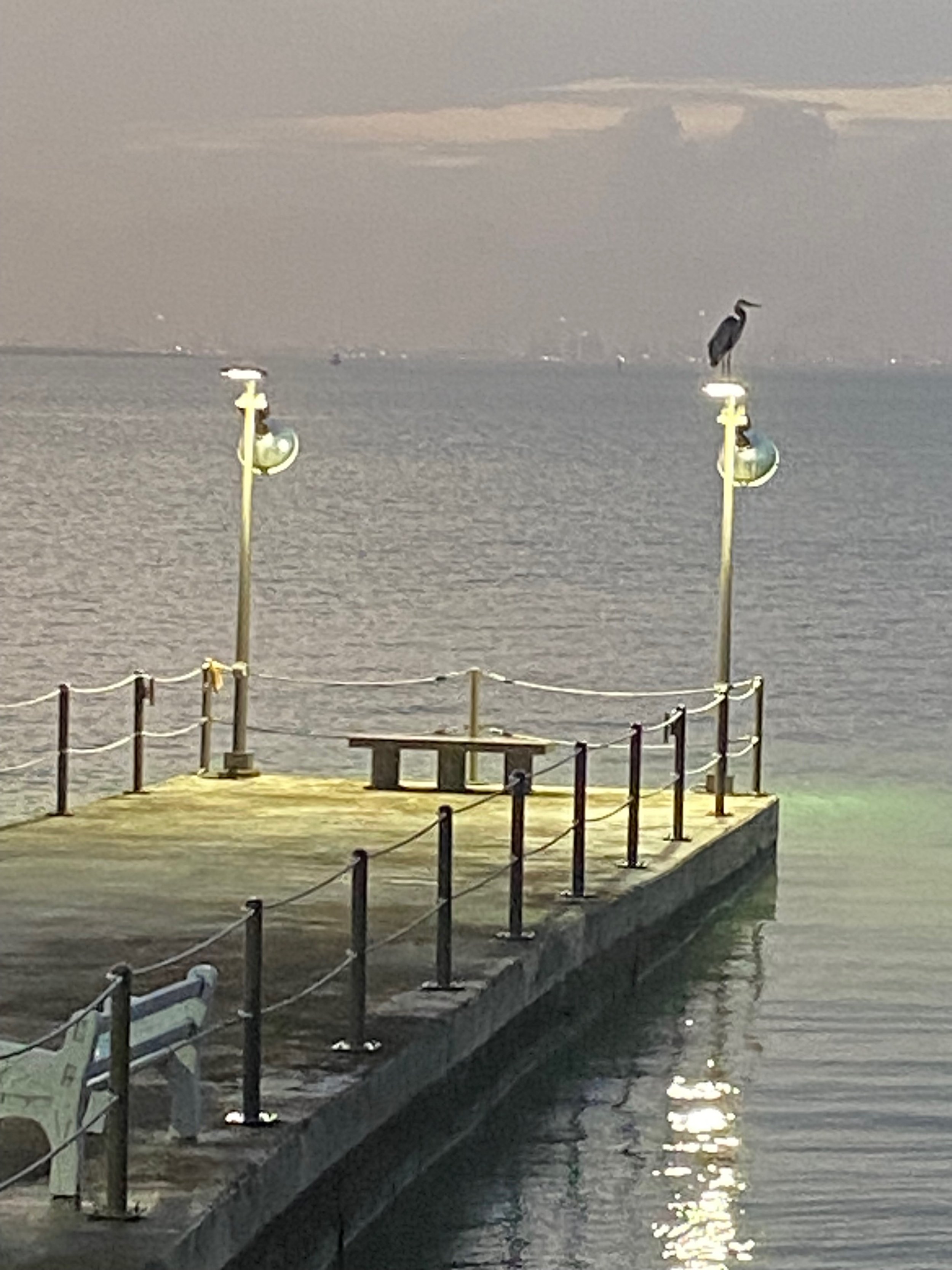 IMG_3049.jpeg