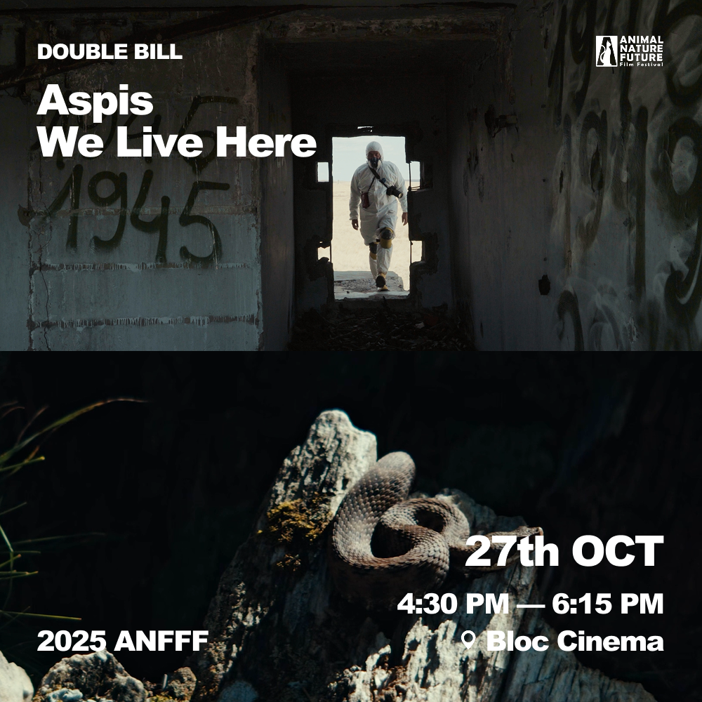 Double Bill_ Aspis + We Live Here 2.png
