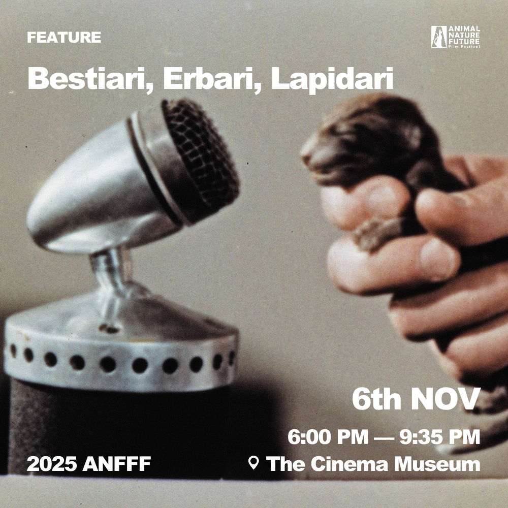 Feature_ Bestiari, Erbari, Lapidari 2.png