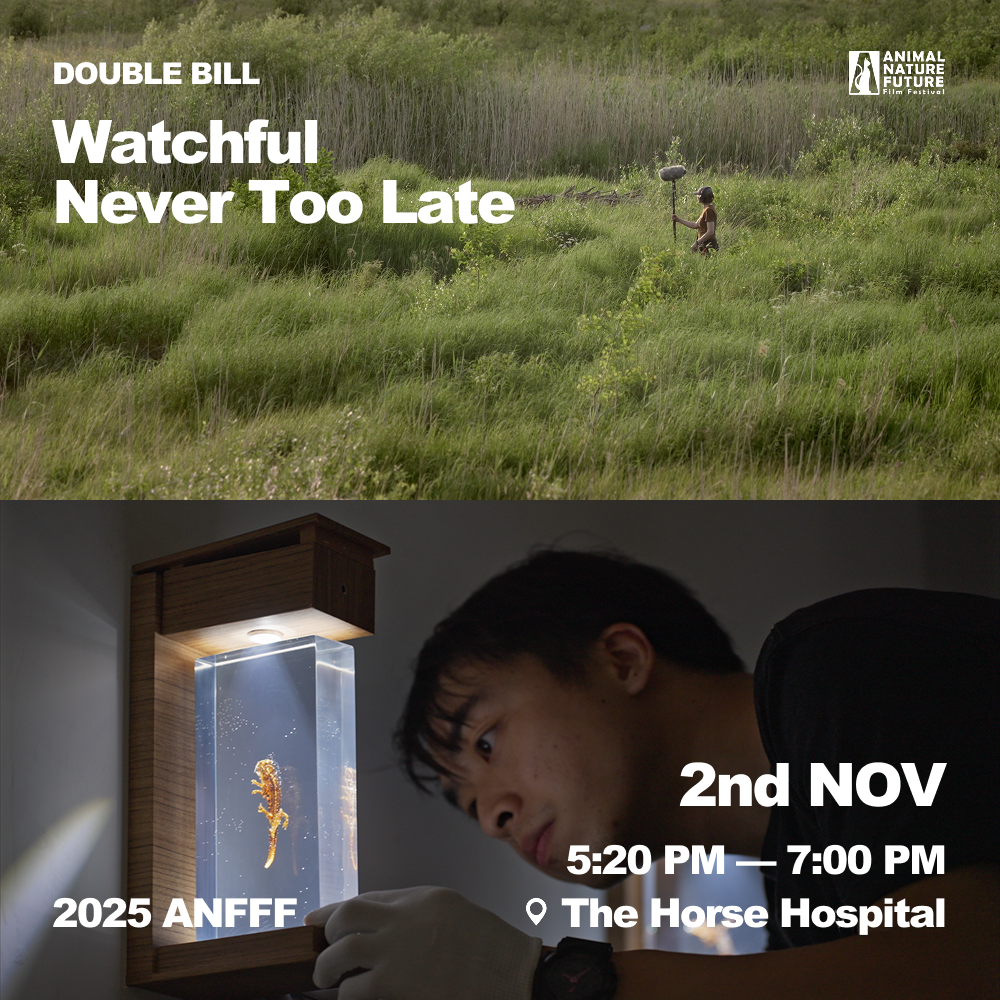 Double Bill_ Watchful + Never Too Late 2.png