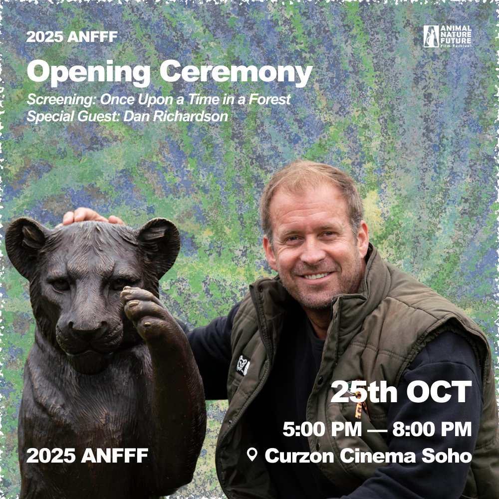 Opening Ceremony + Once Upon a Time in a Forest 2.png