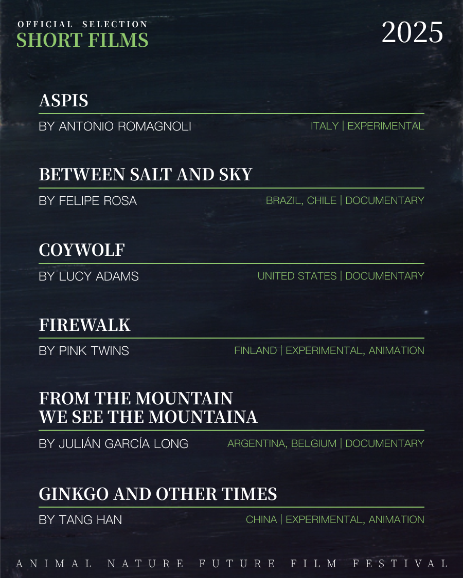 Announcement of Official Selection_04_Instagram post.png
