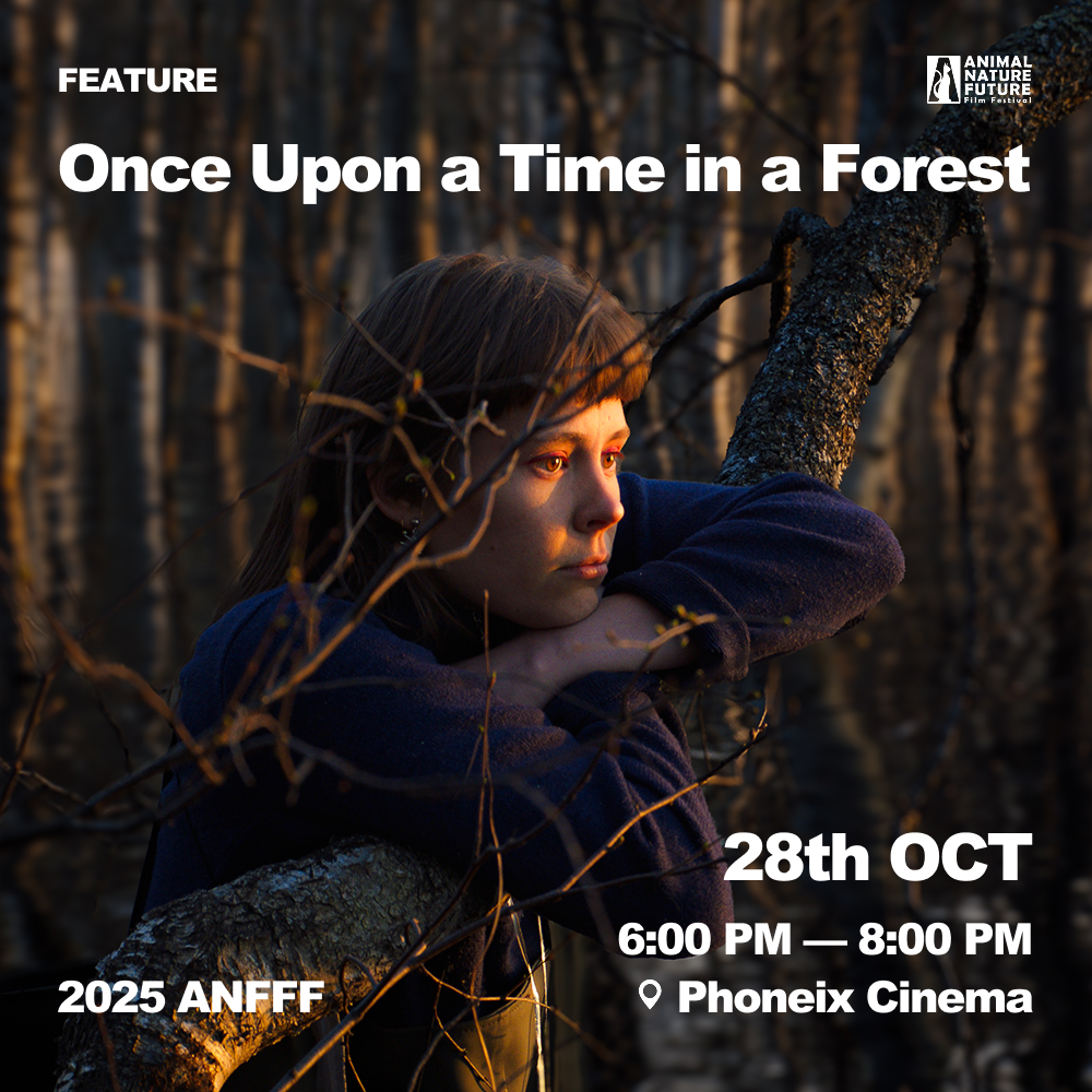 Feature_ Once Upon a Time in a Forest 2.png