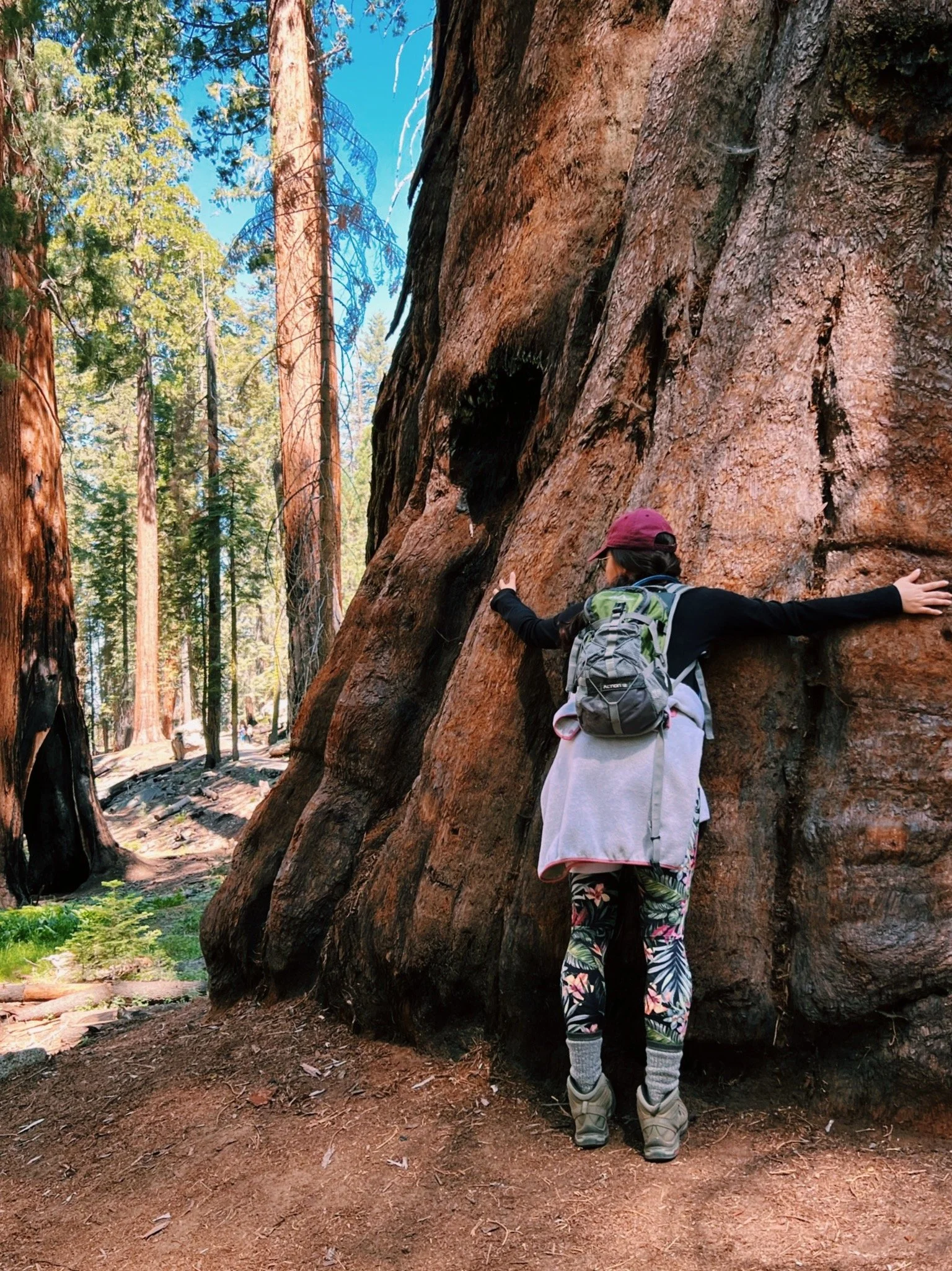 A person leaning against a large tree trunk in a forest, wearing a pink cap, a gray jacket, patterned pants, and hiking shoes, with a backpack. Tall trees and green foliage surround the scene, and the ground is dirt.