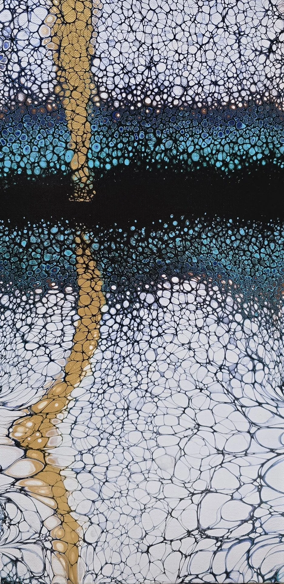 Winner 2026. Reflected Divide, by Christine Jeszeck