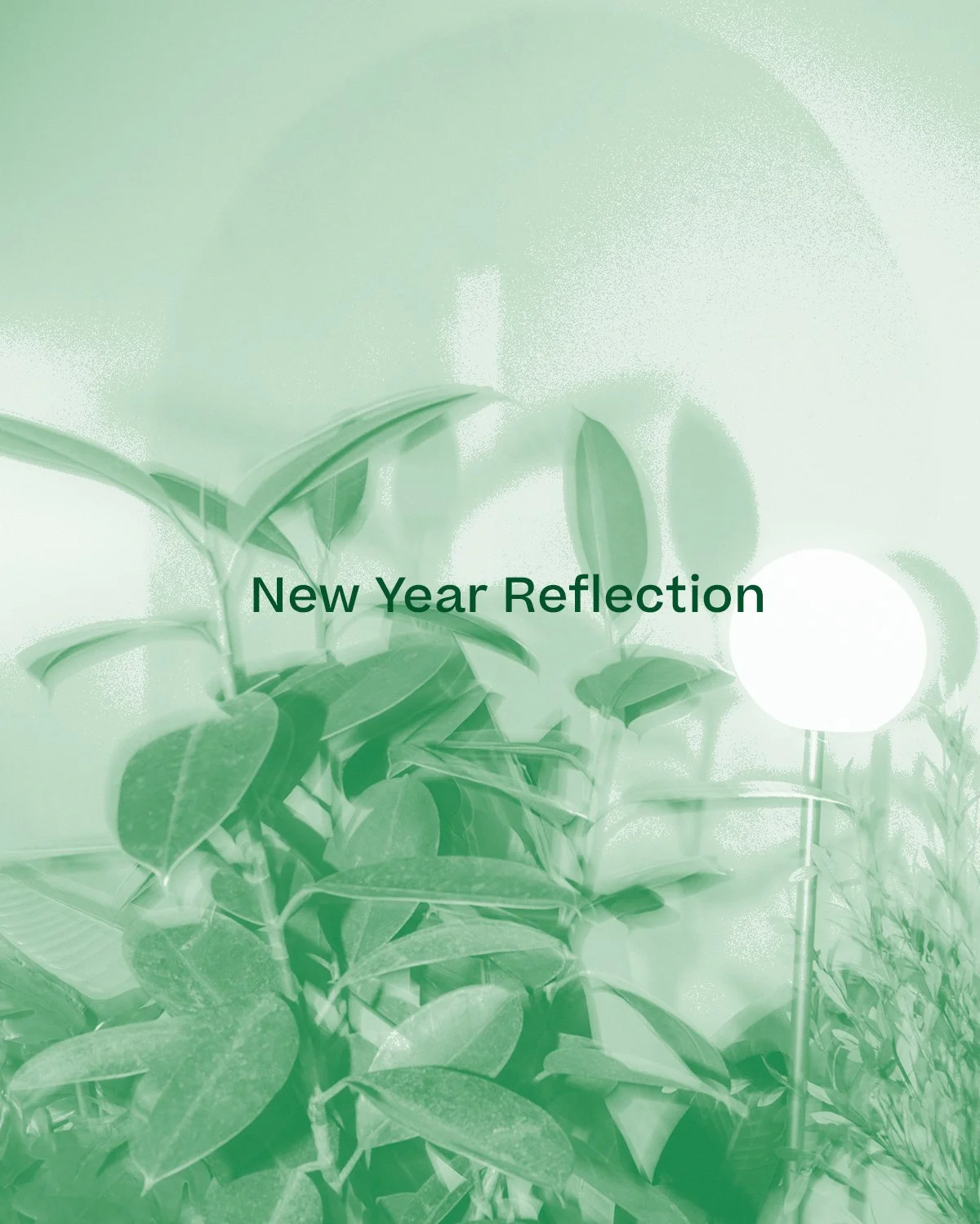 New Year Reflection