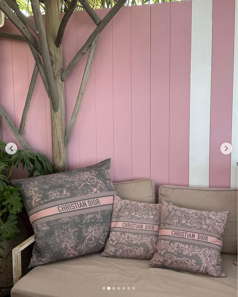 MBSTK0000829 - MBU007712 Dior - Outdoor Pillows - Riviera Grey:Pink Toile de Jouy - HYP02RJD0U C8004.png