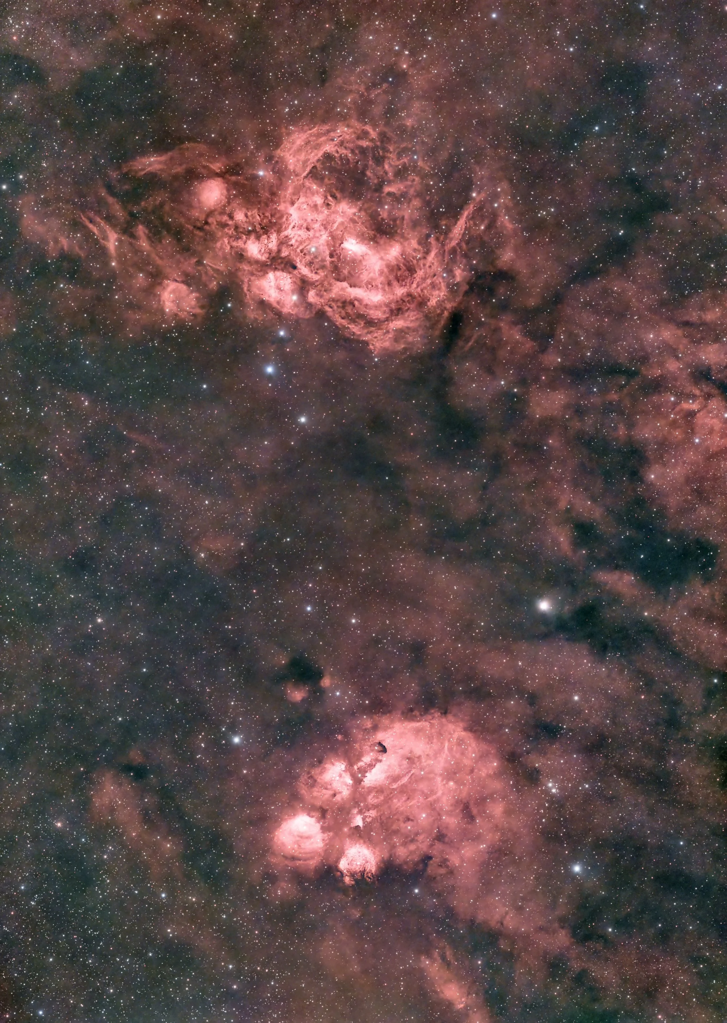 Cat's Paw and Lobster Nebulae