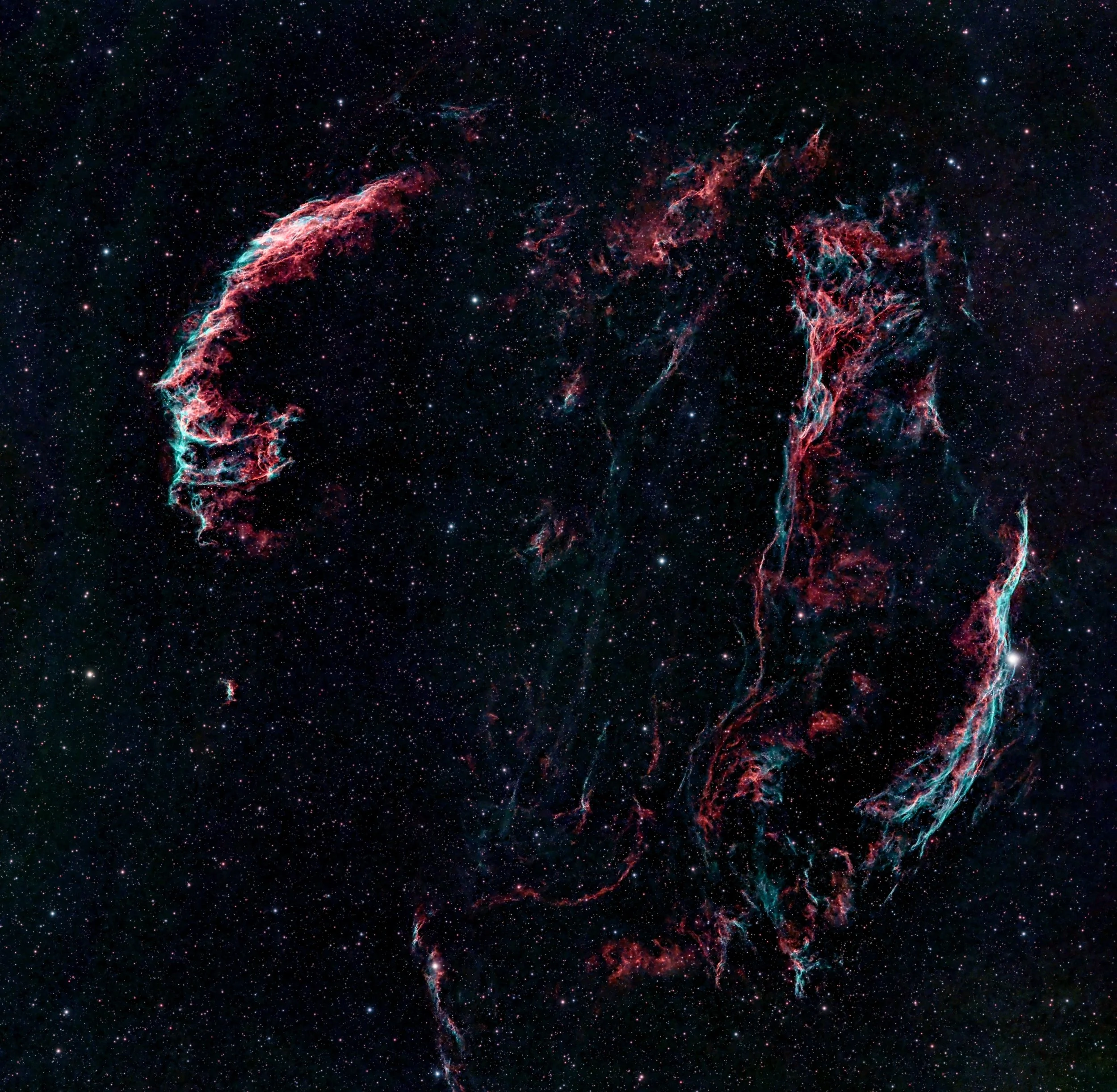 20260729_NGC6960 Veil Nebula_DB_82770s.jpg