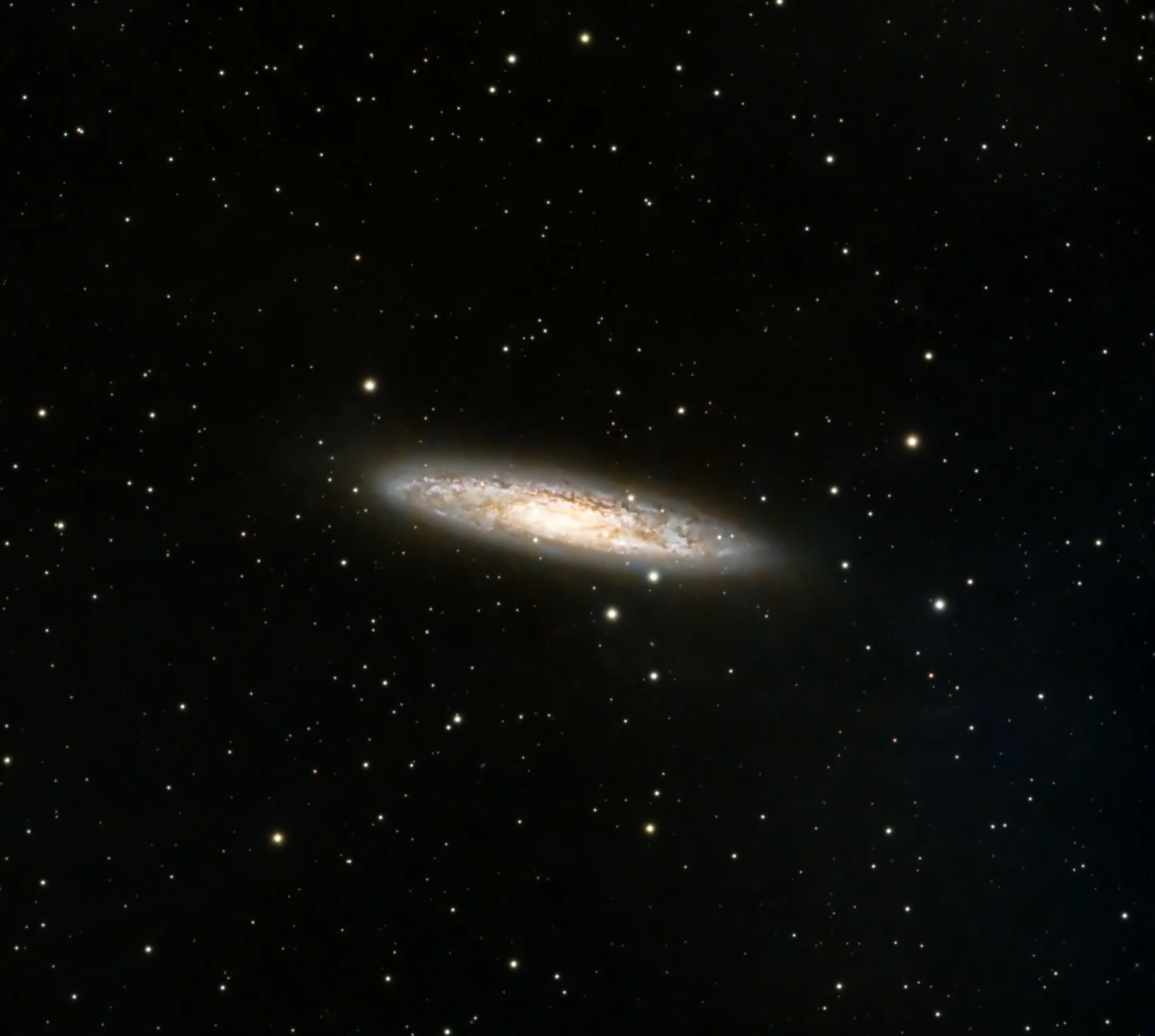 Sculptor Galaxy