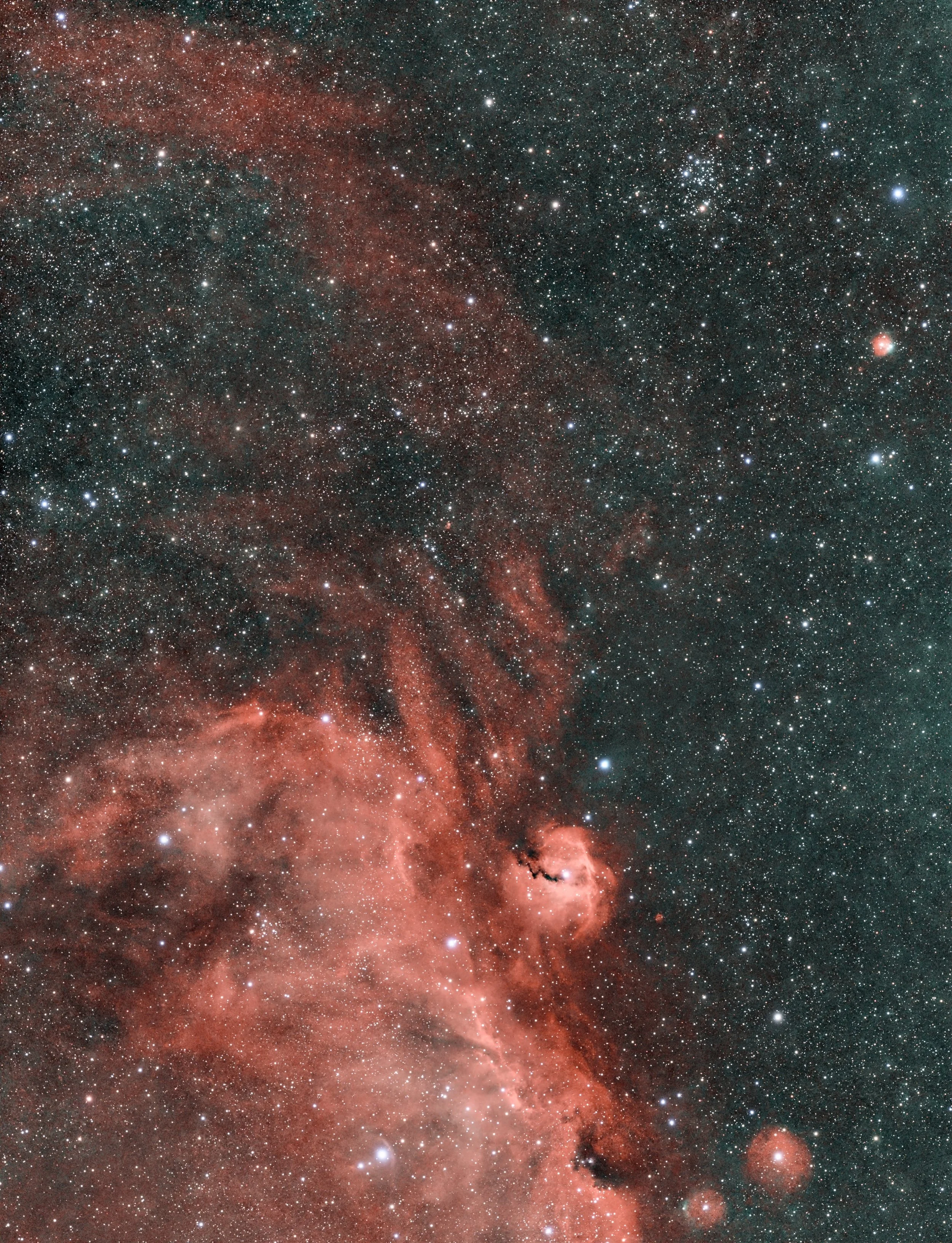 Seagull Nebula with M50