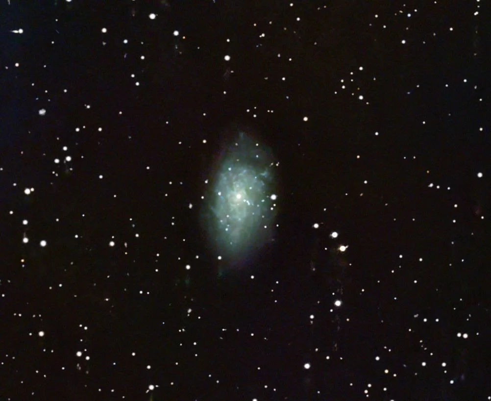 NGC 7793