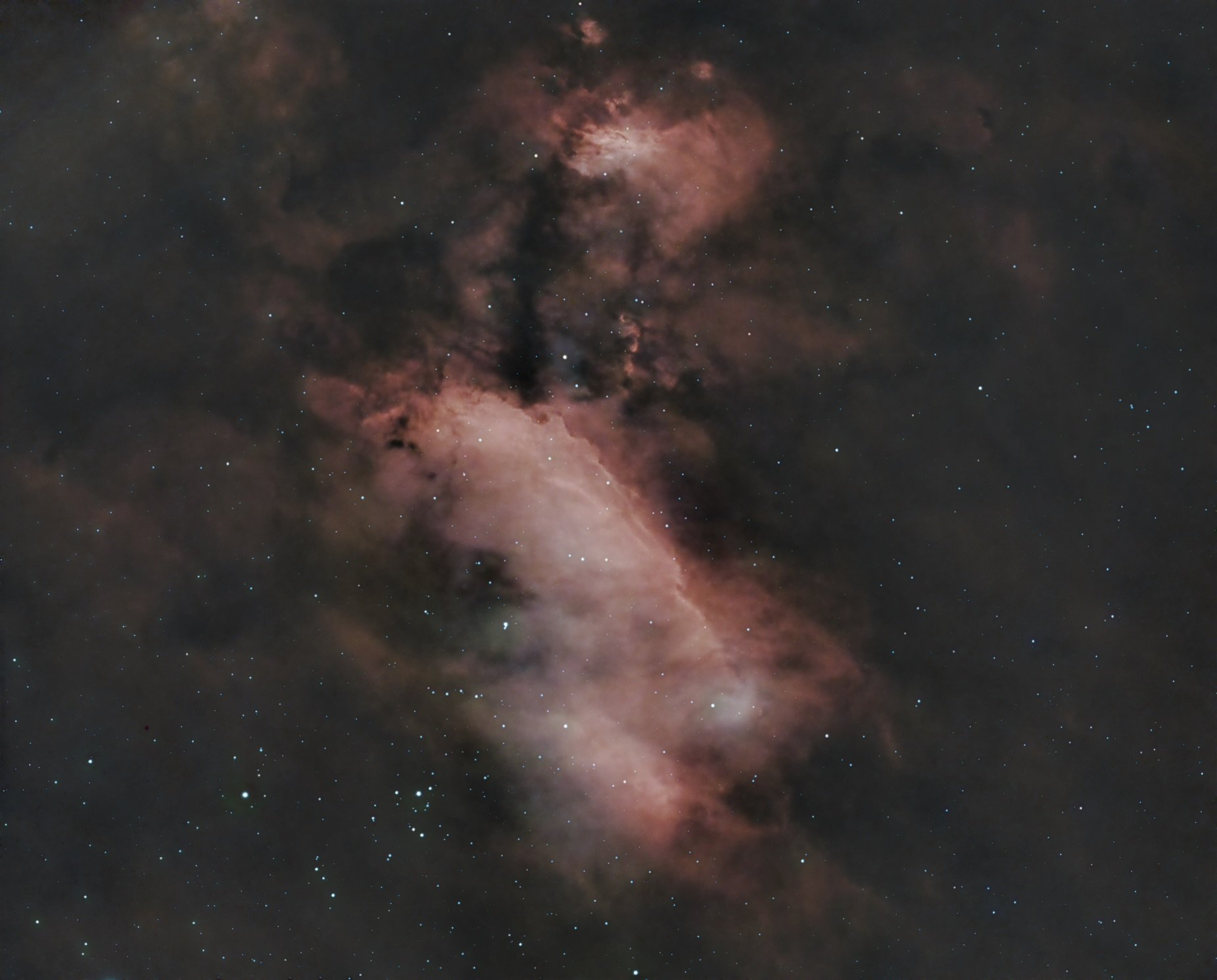 Prawn Nebula