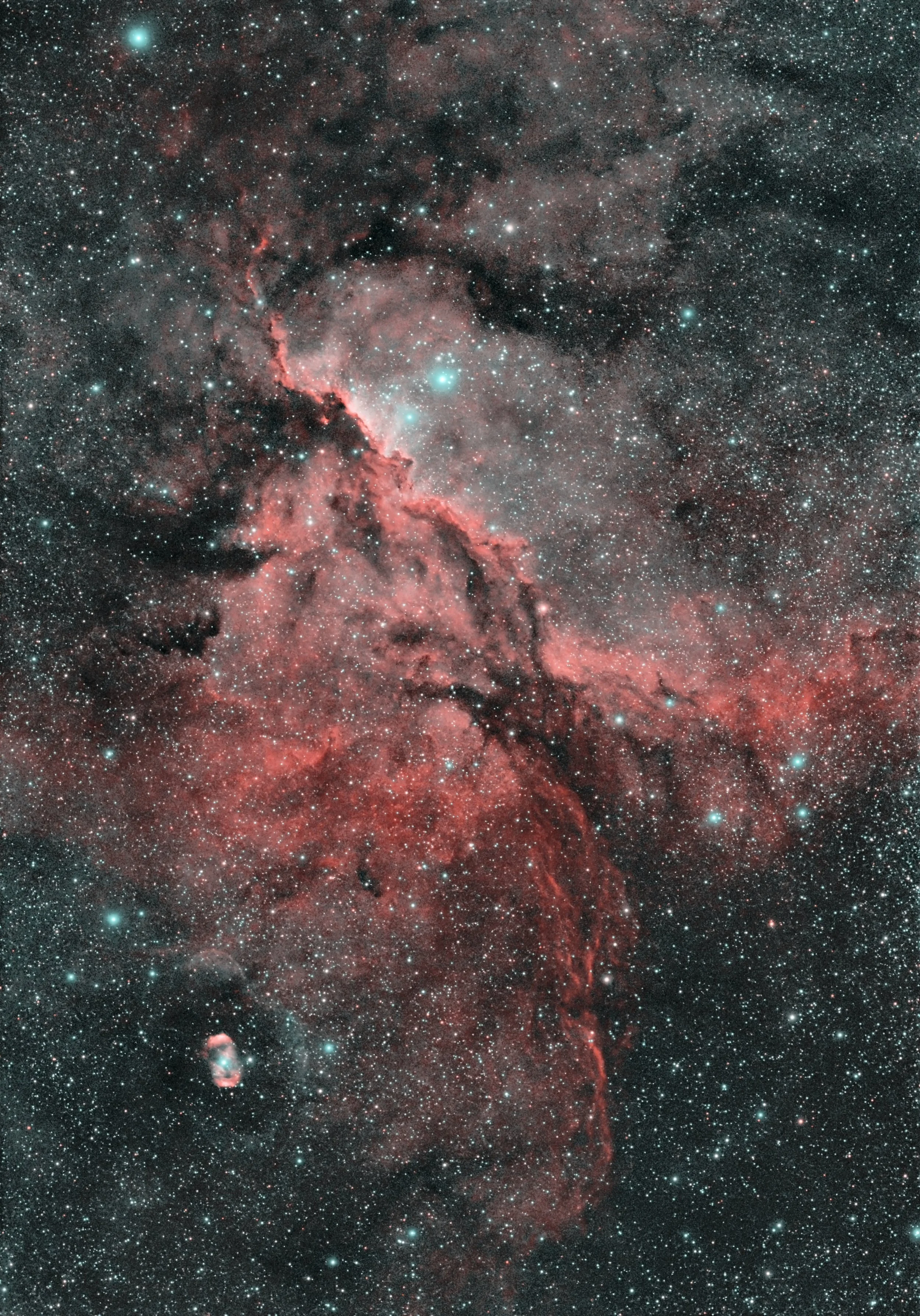 Rim Nebula and NGC 6164
"Fighting Dragons Of Ara"