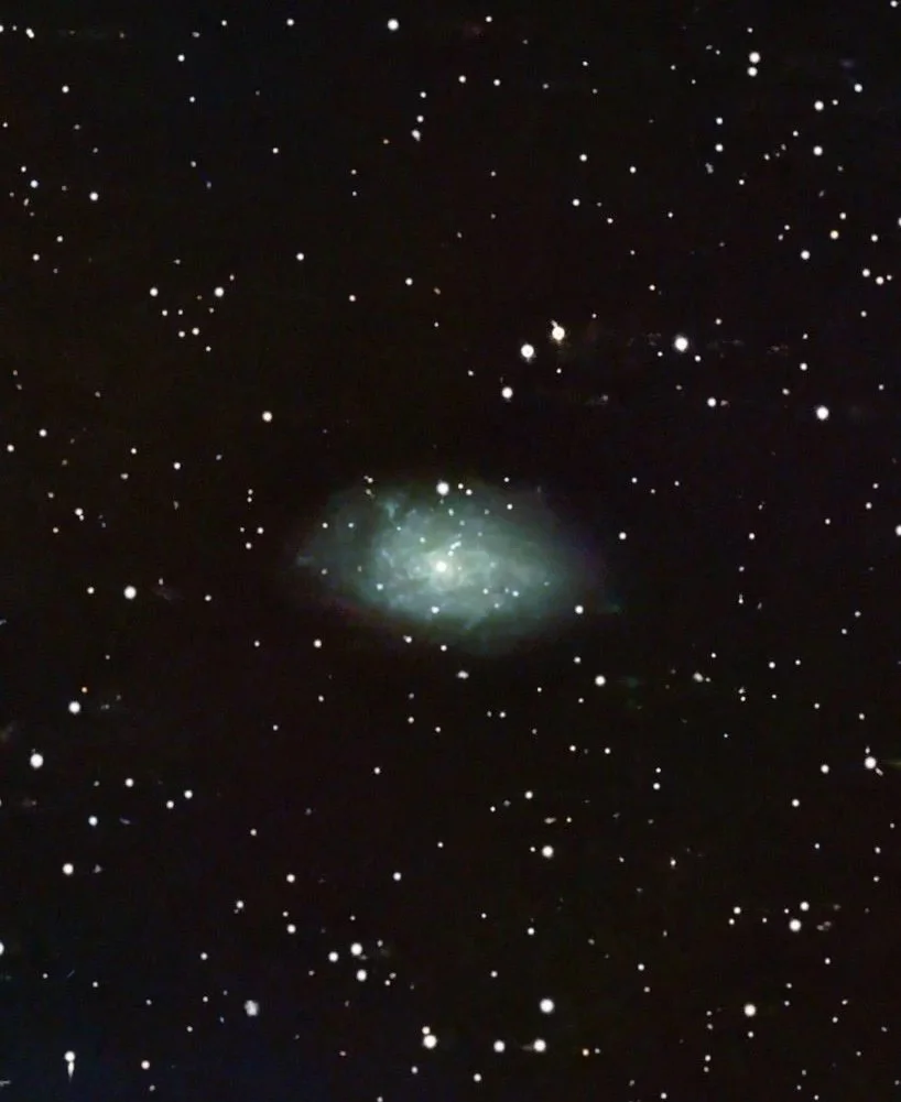 NGC 7793