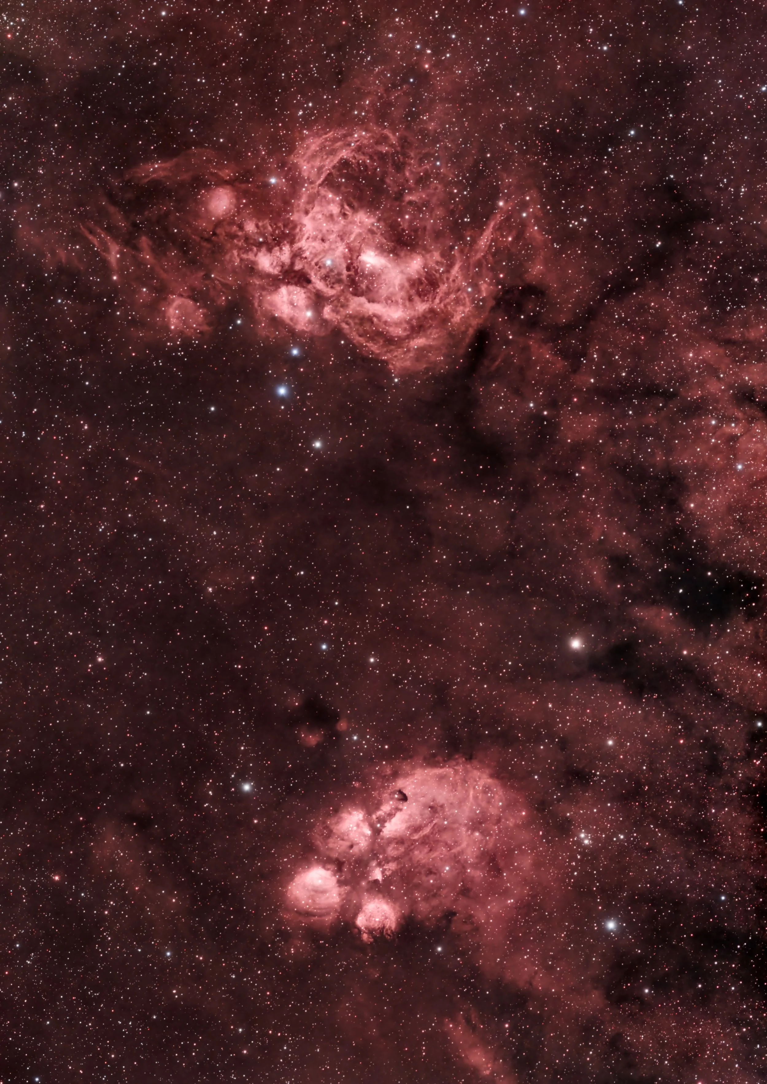 Cat's Paw and Lobster Nebulae