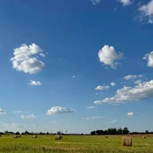 september