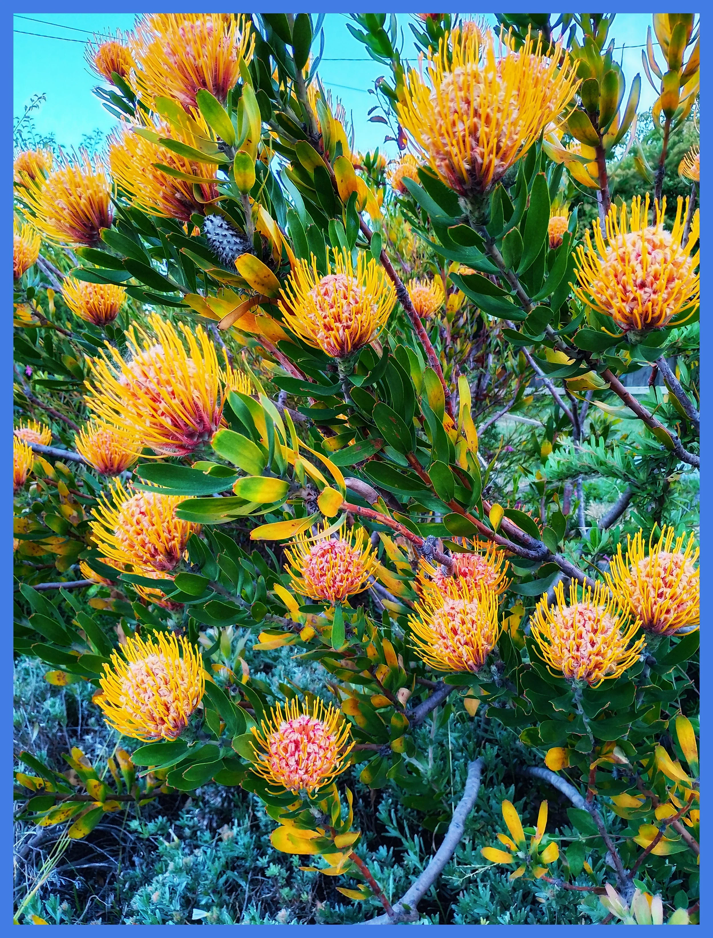 BENJAMIN-LEIGH WHOLEGREEN - UNTITLED #1 (2026).jpg