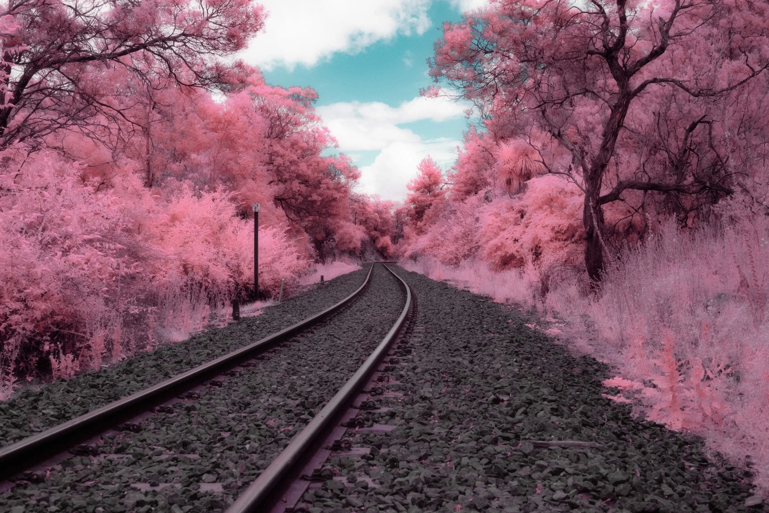 UNTITLED #3 (2021).jpg