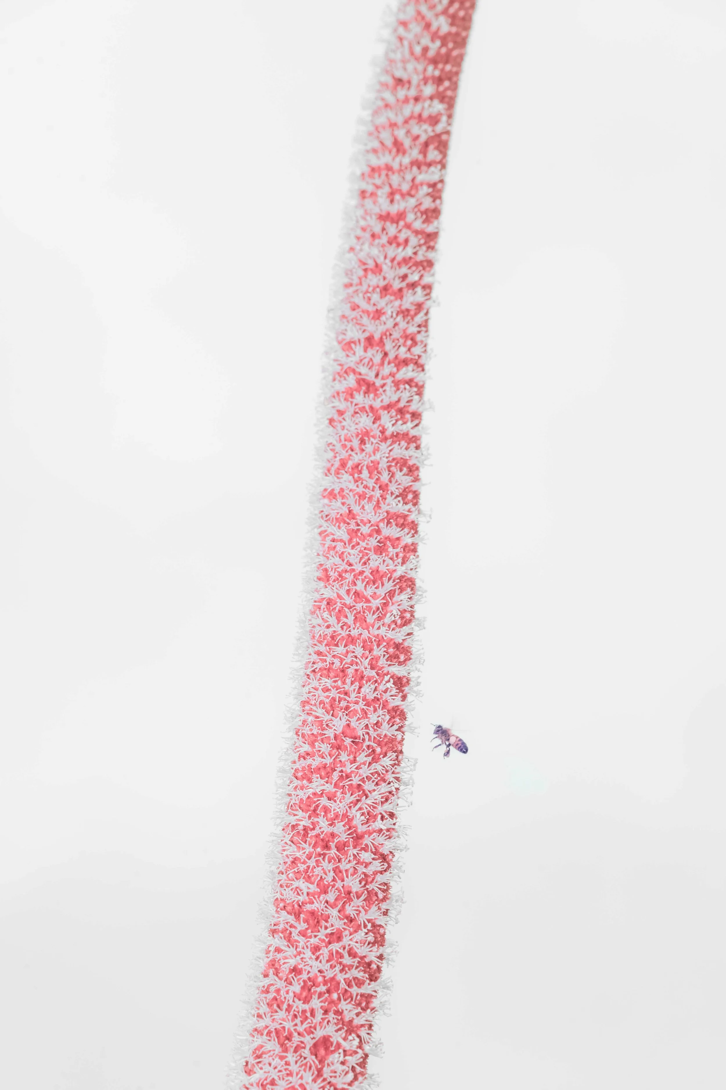 UNTITLED #24 (2021).jpg
