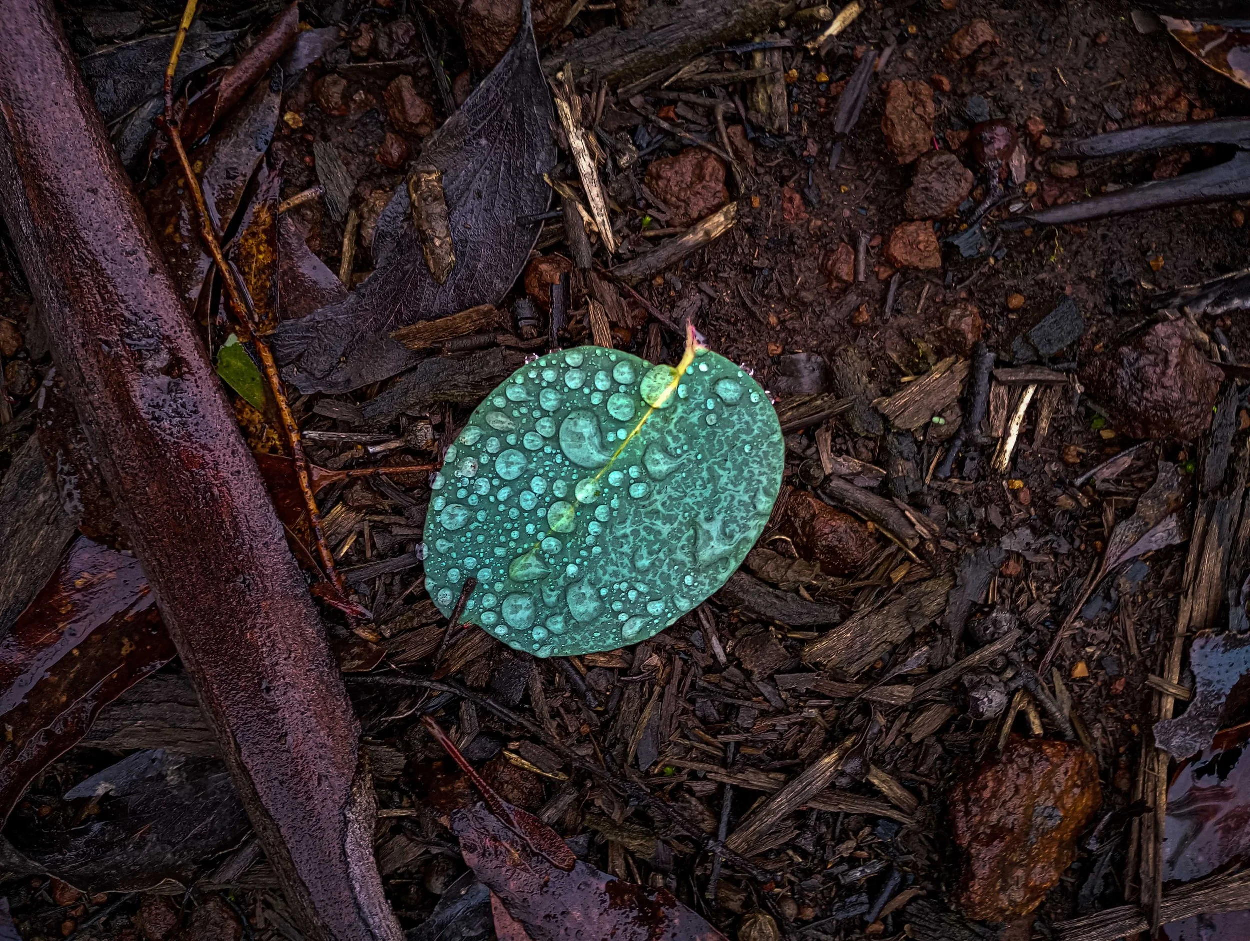 UNTITLED #6 (2025).jpg