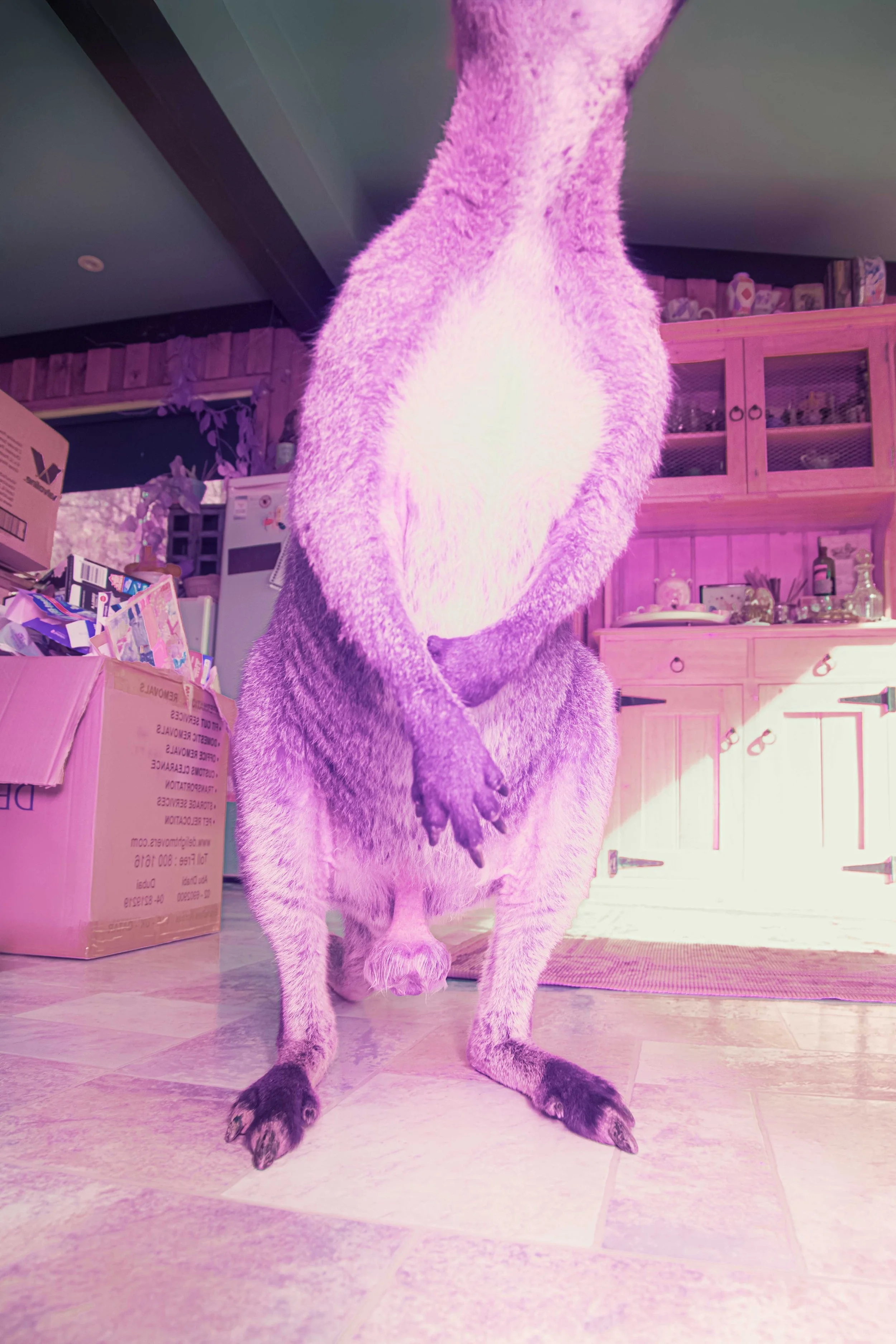 UNTITLED #23 (2025).jpg