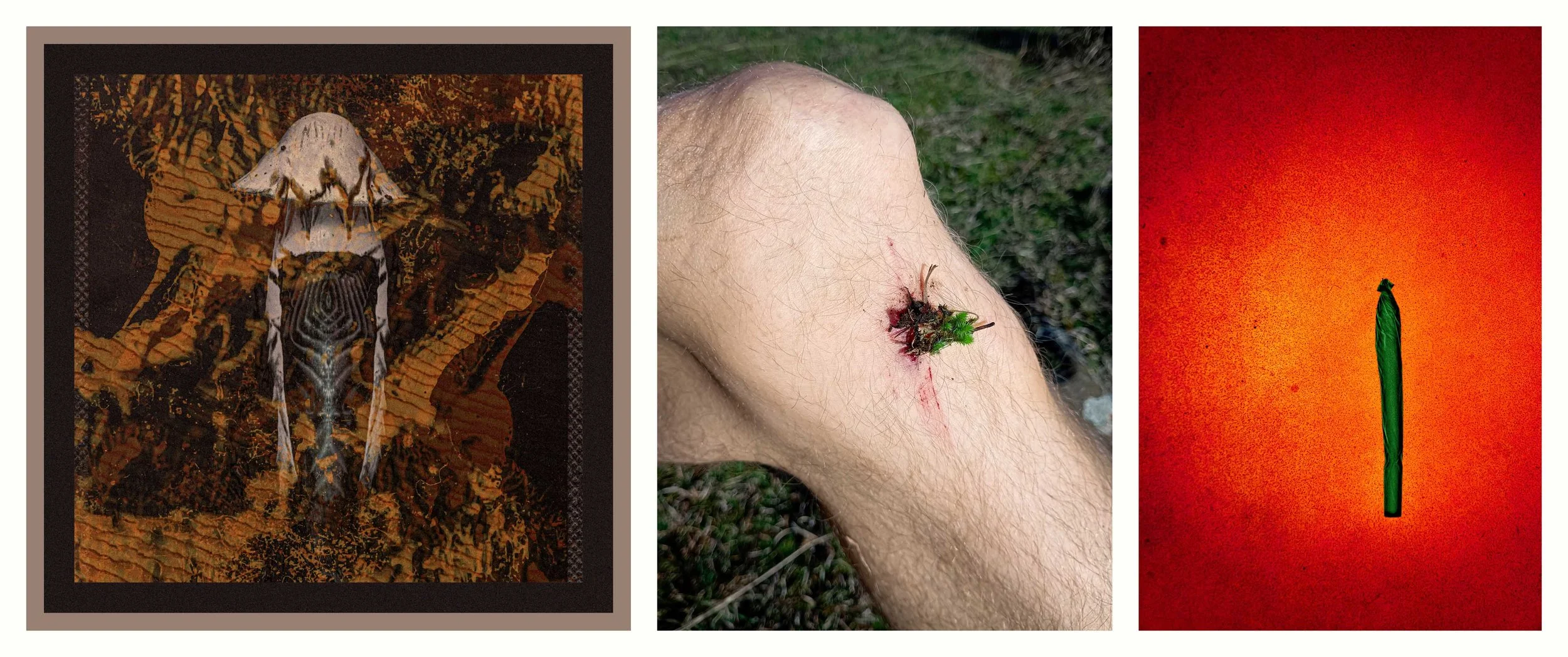 BENJAMIN-LEIGH WHOLEGREEN 2016-2025 #9.jpg