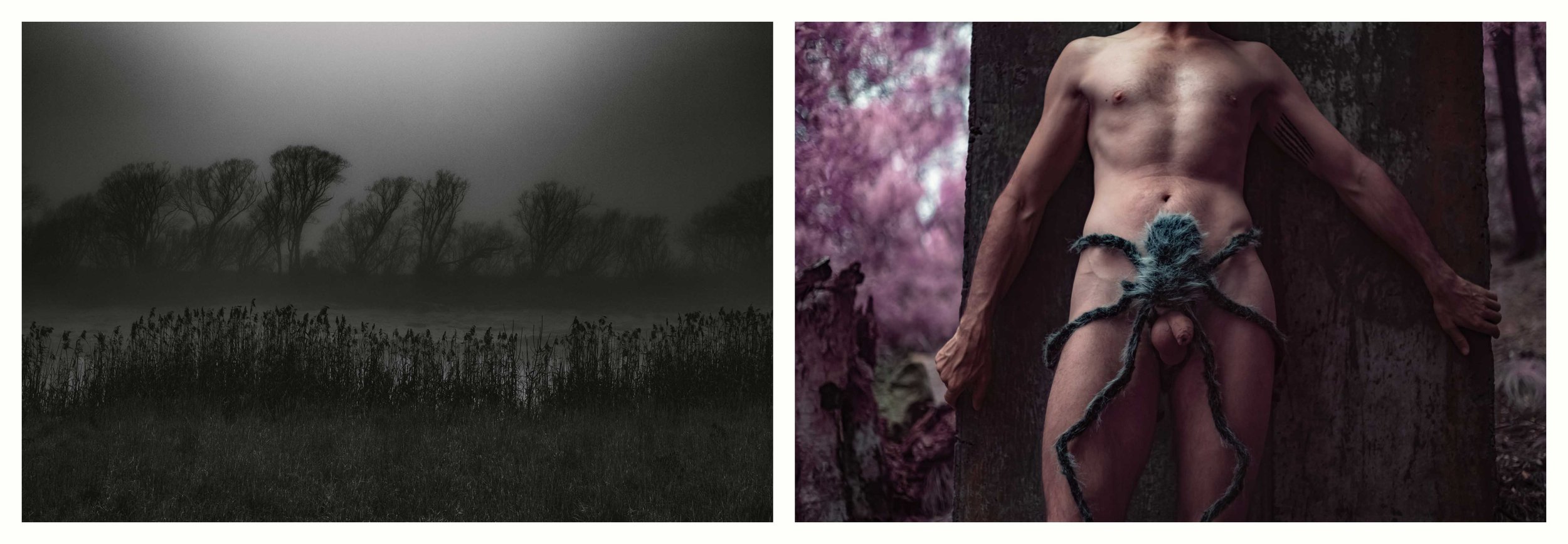 BENJAMIN-LEIGH WHOLEGREEN 2016-2025 #10.jpg