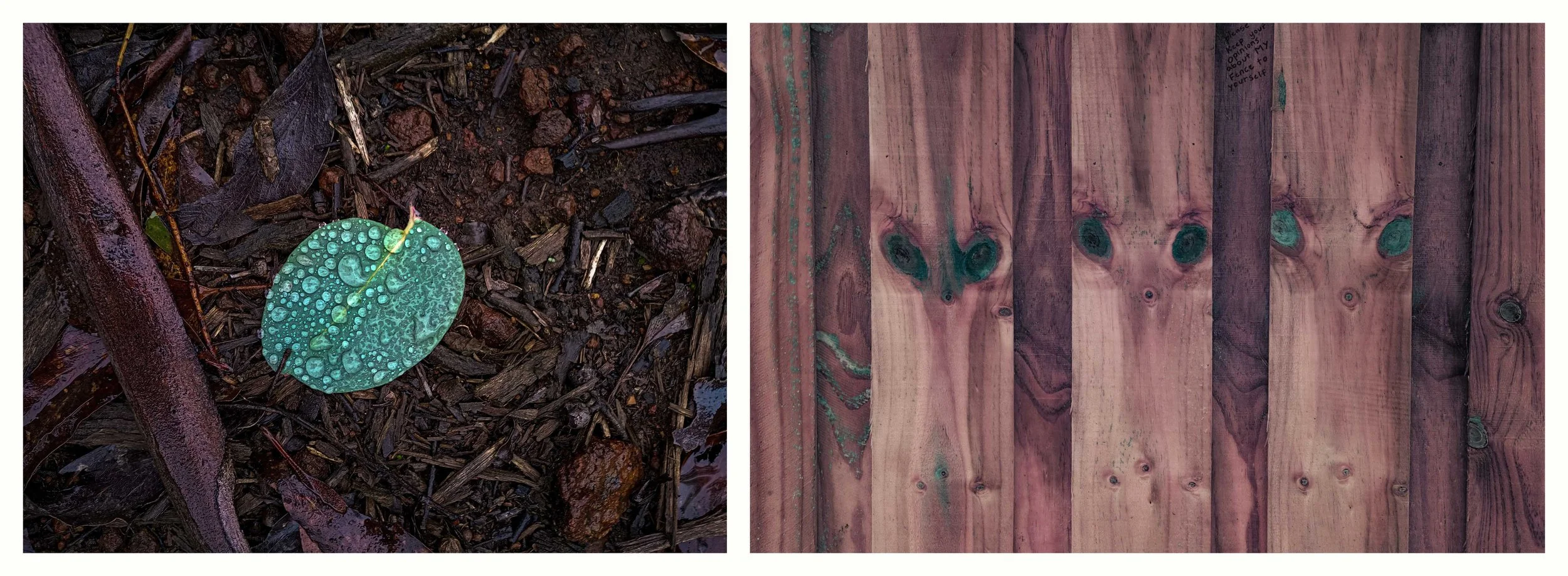 BENJAMIN-LEIGH WHOLEGREEN 2016-2025 #14.jpg