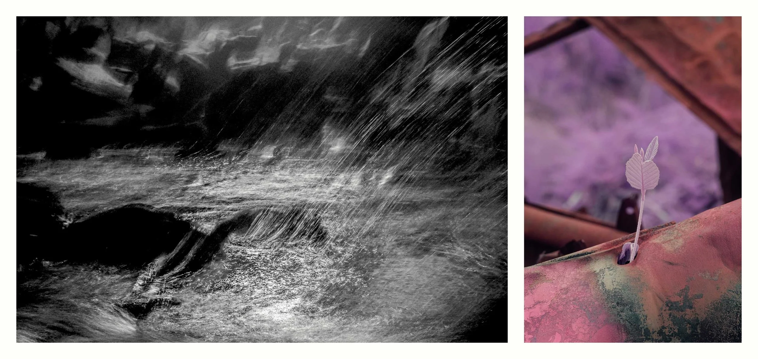 BENJAMIN-LEIGH WHOLEGREEN 2016-2025 #36.jpg