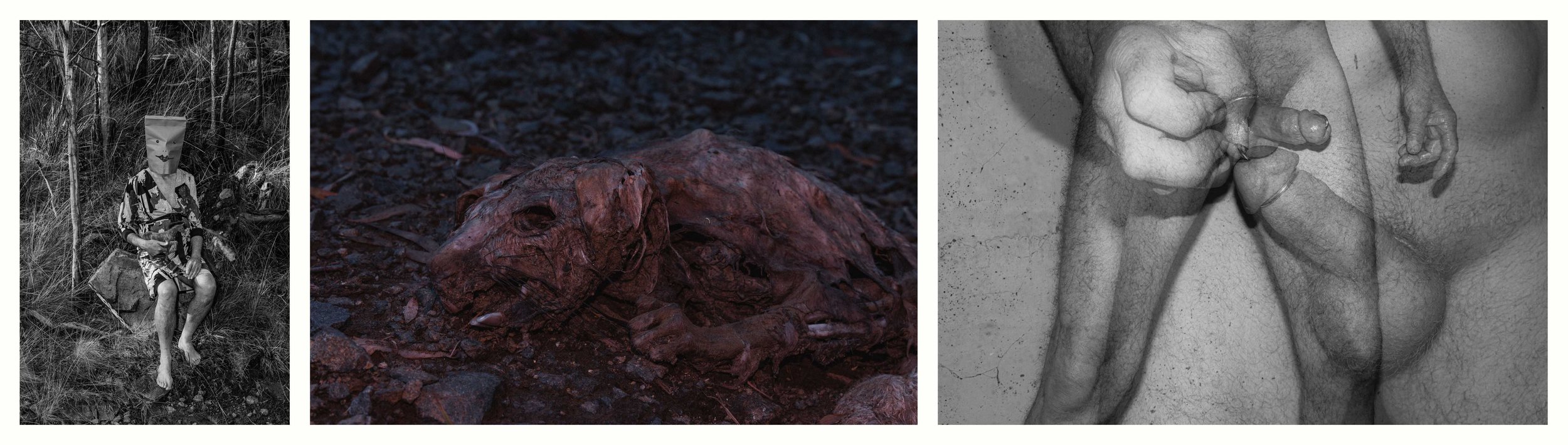 BENJAMIN-LEIGH WHOLEGREEN 2016-2025 #51.jpg