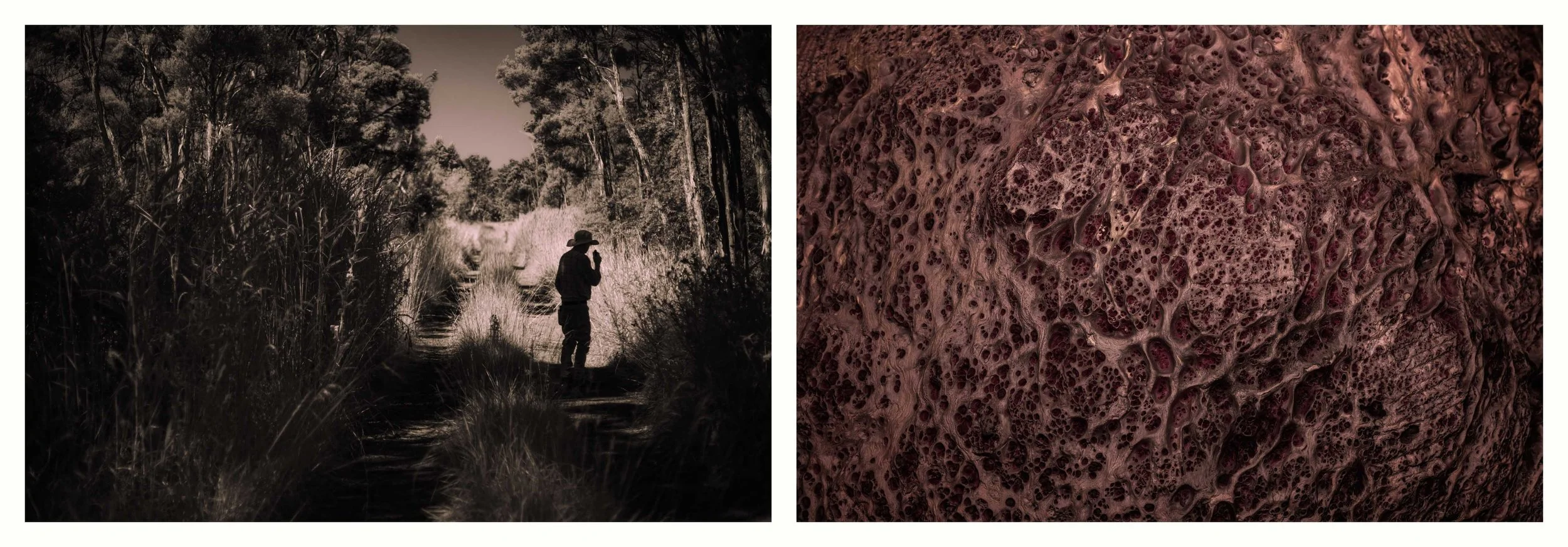 BENJAMIN-LEIGH WHOLEGREEN 2016-2025 #56.jpg