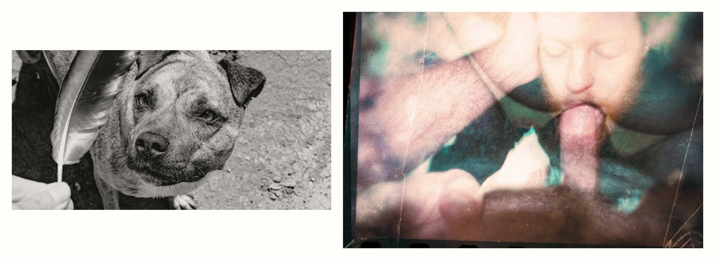 BENJAMIN-LEIGH WHOLEGREEN 2016-2025 #78.jpg