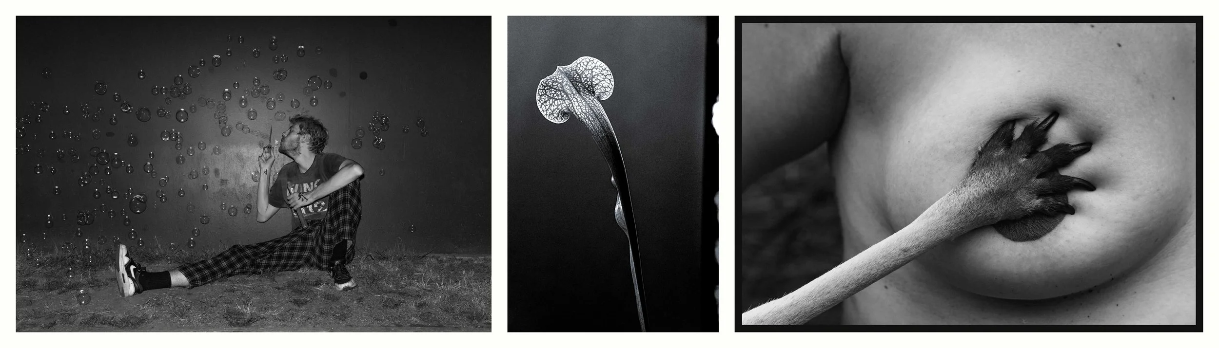 BENJAMIN-LEIGH WHOLEGREEN 2016-2025 #83.jpg