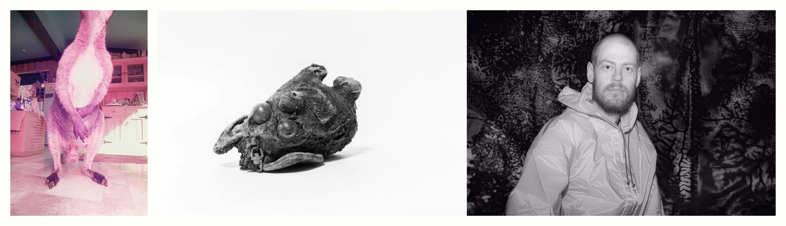 BENJAMIN-LEIGH WHOLEGREEN 2016-2025 #85.jpg