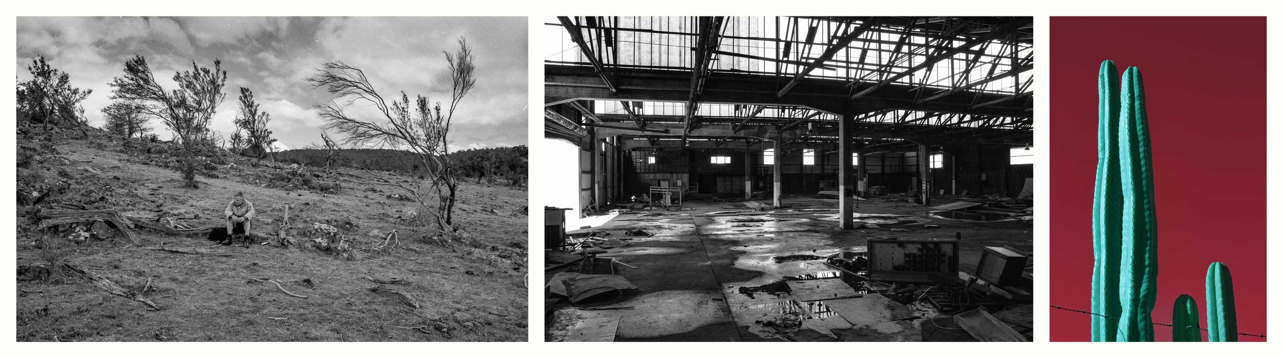 BENJAMIN-LEIGH WHOLEGREEN 2016-2025 #87.jpg