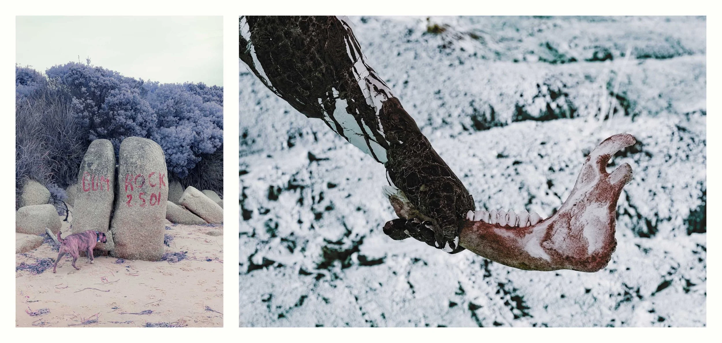 BENJAMIN-LEIGH WHOLEGREEN 2016-2025 #94.jpg