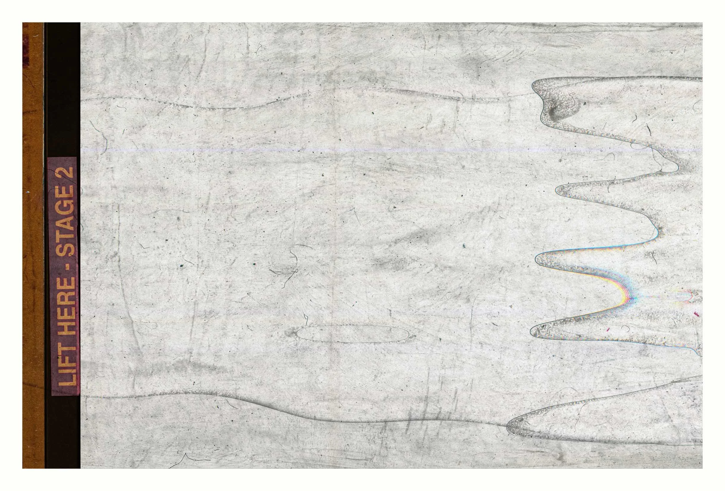 BENJAMIN-LEIGH WHOLEGREEN 2016-2025 #117.jpg