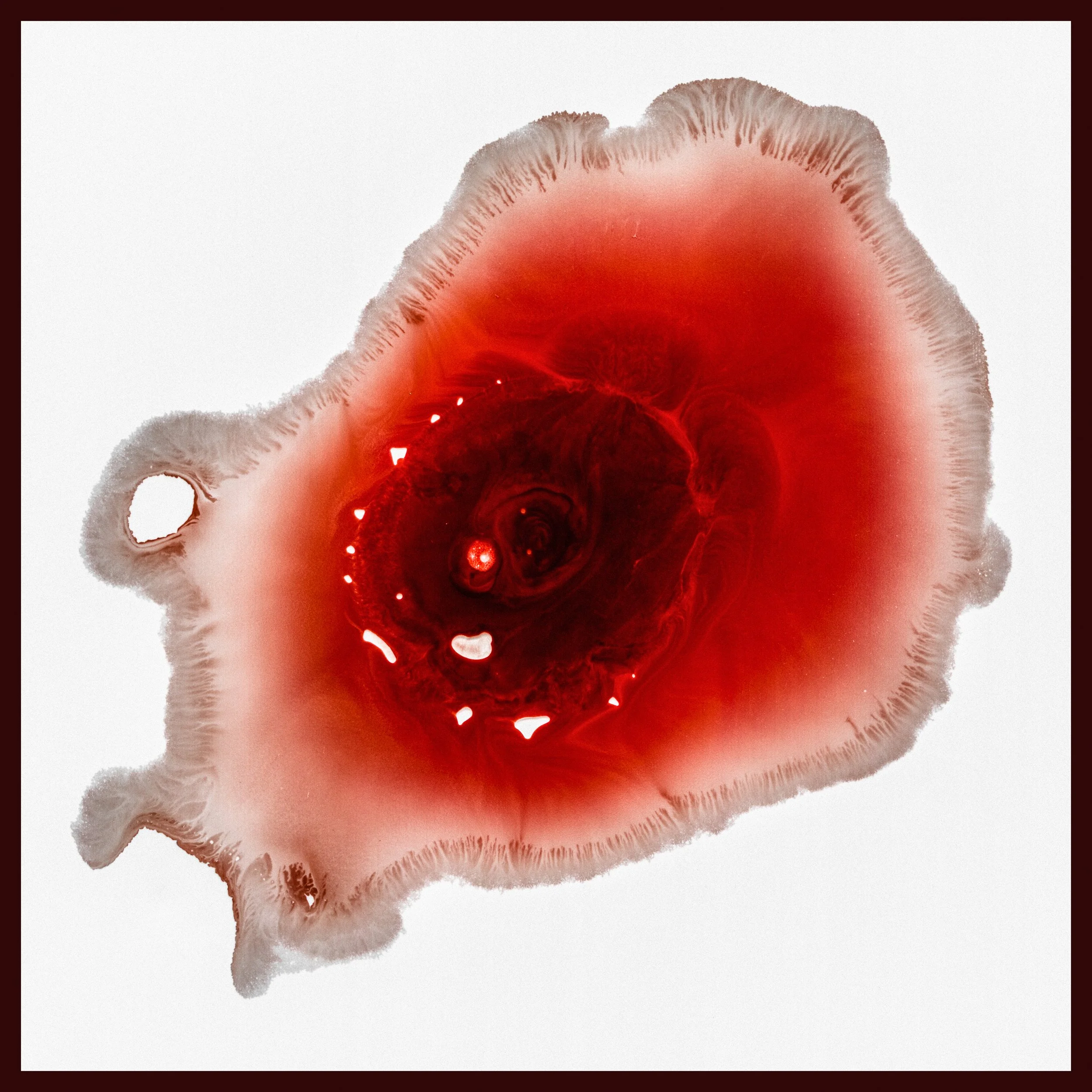 BENJAMIN-LEIGH WHOLEGREEN - UNTITLED #31 (2016).jpg