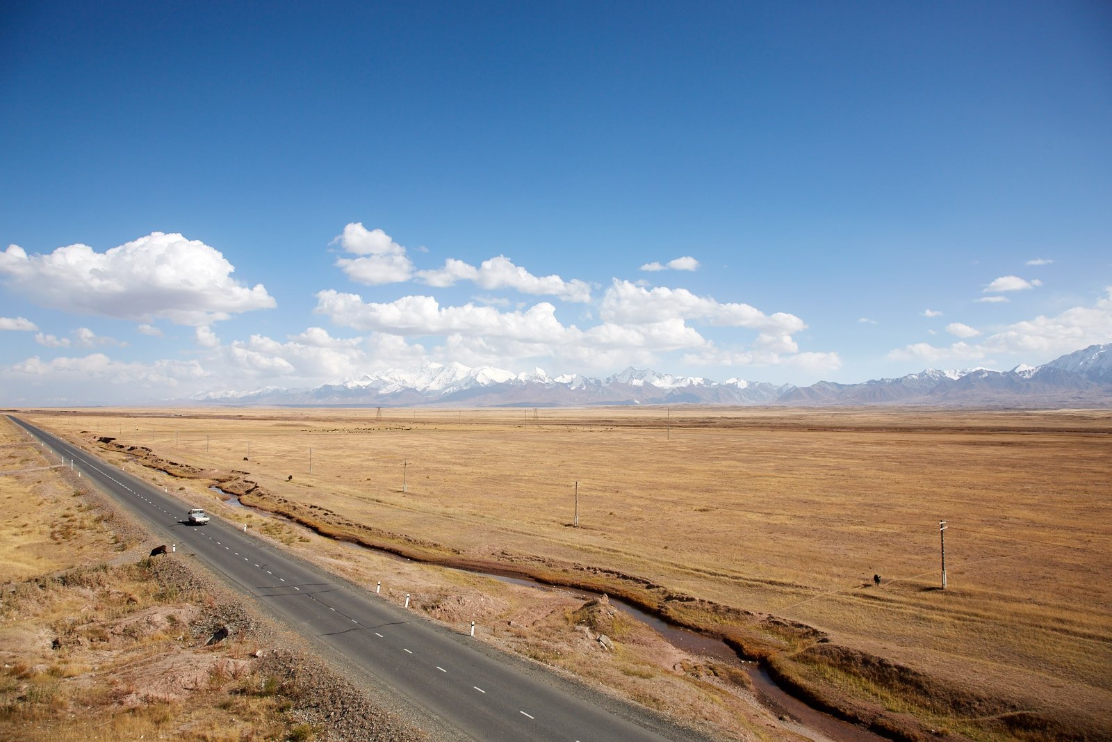 allay_on_the_road-5770.jpg