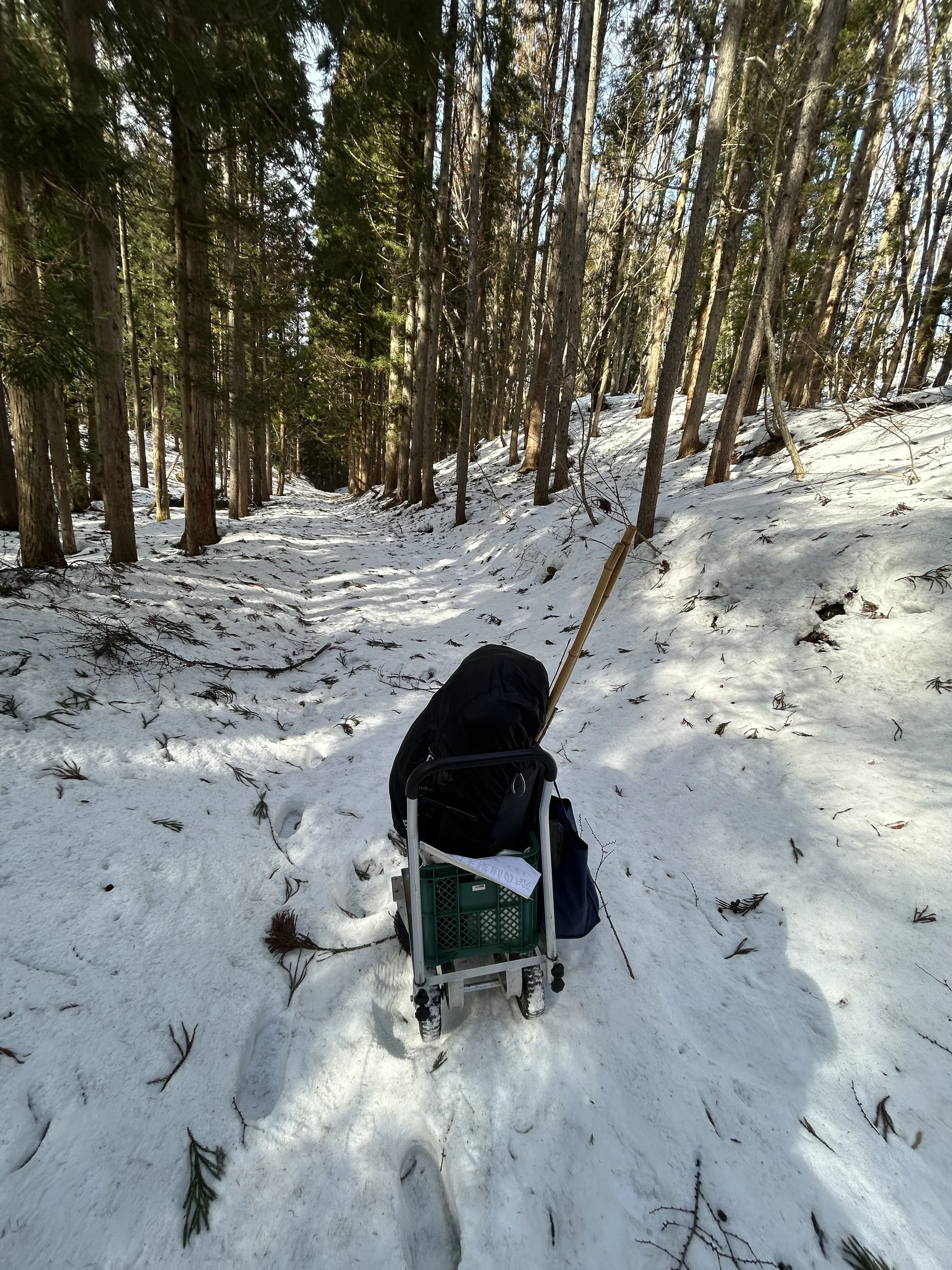 徒歩で日本縦断の旅 Walking Across Japan 57